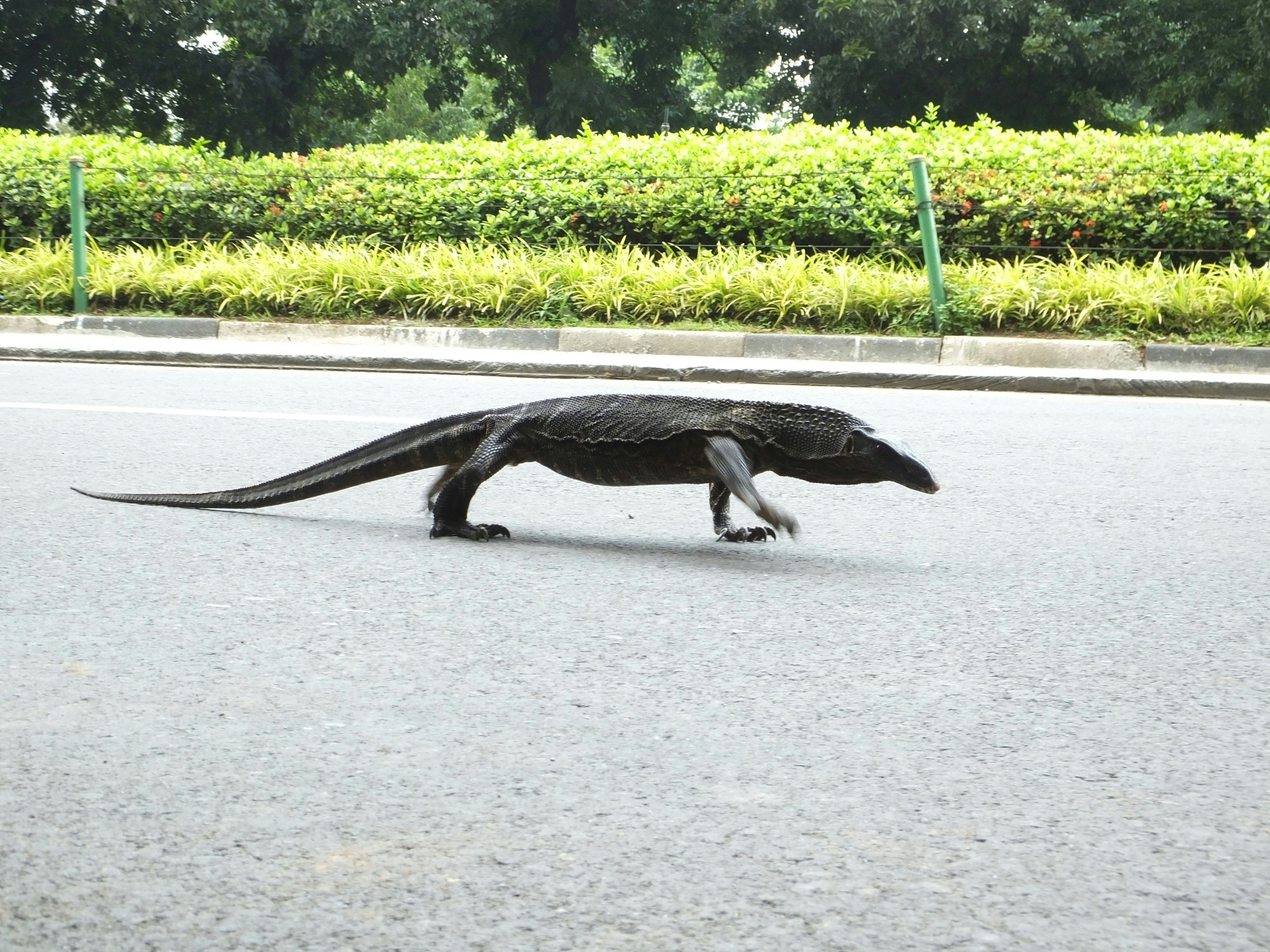 Free Unsplash photo from Kiky Rizky Putri Harianty