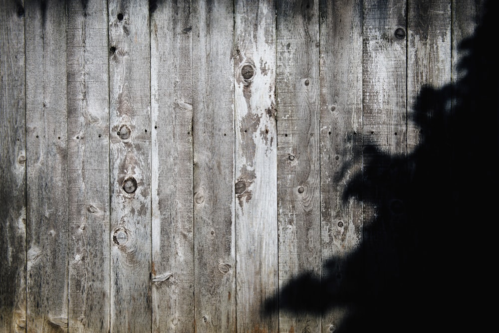 brown wooden fence