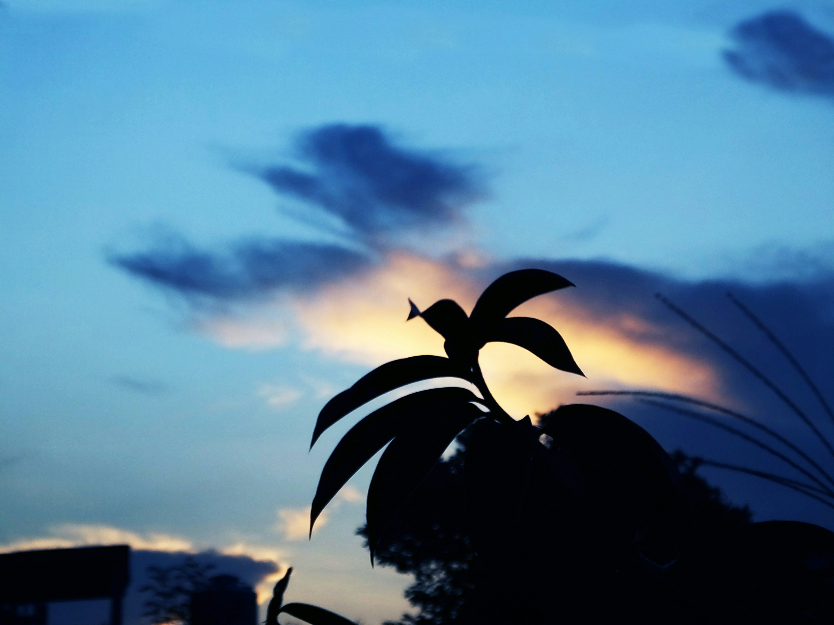 Free Unsplash photo from Kiky Rizky Putri Harianty