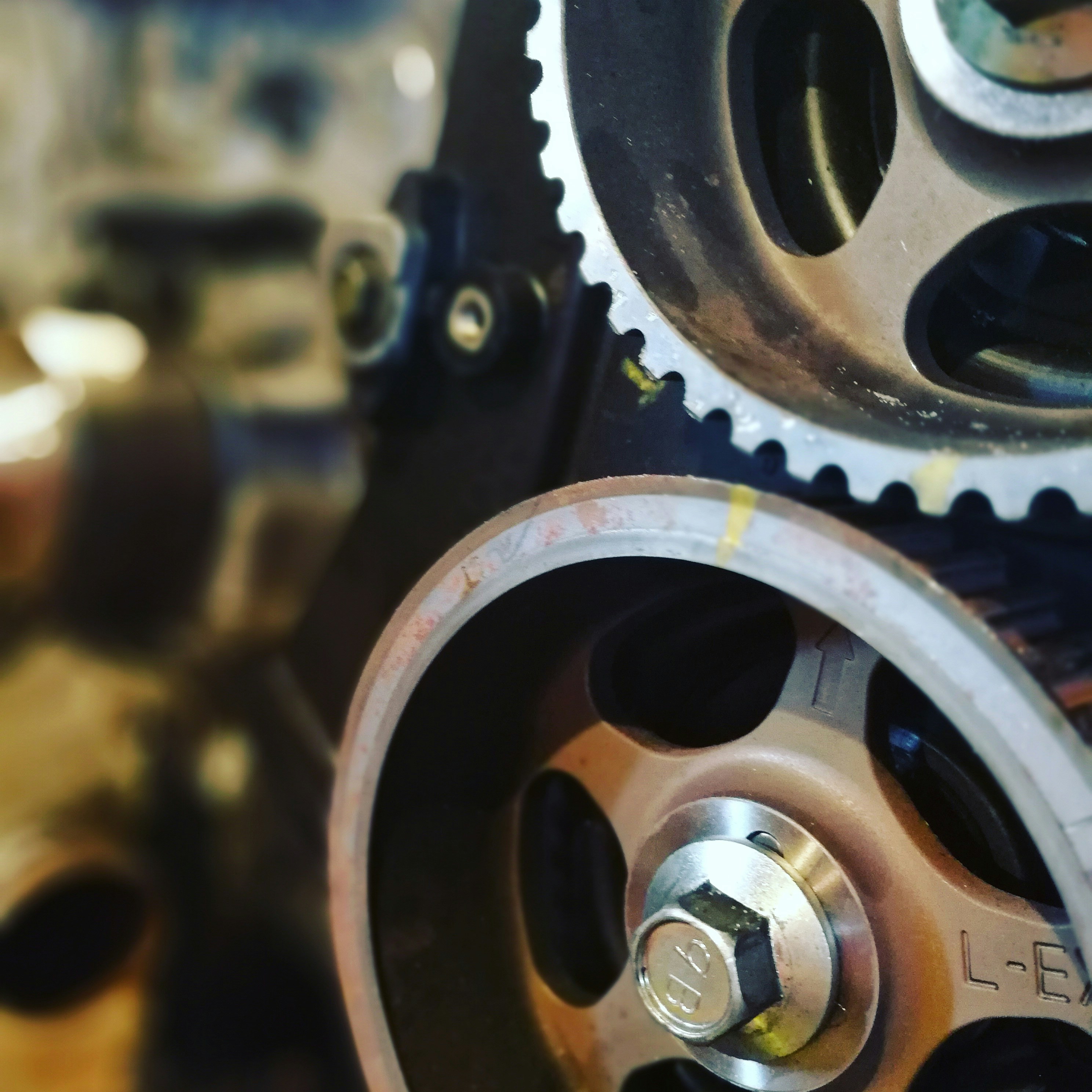 Free Unsplash photo from Madeleine Allen