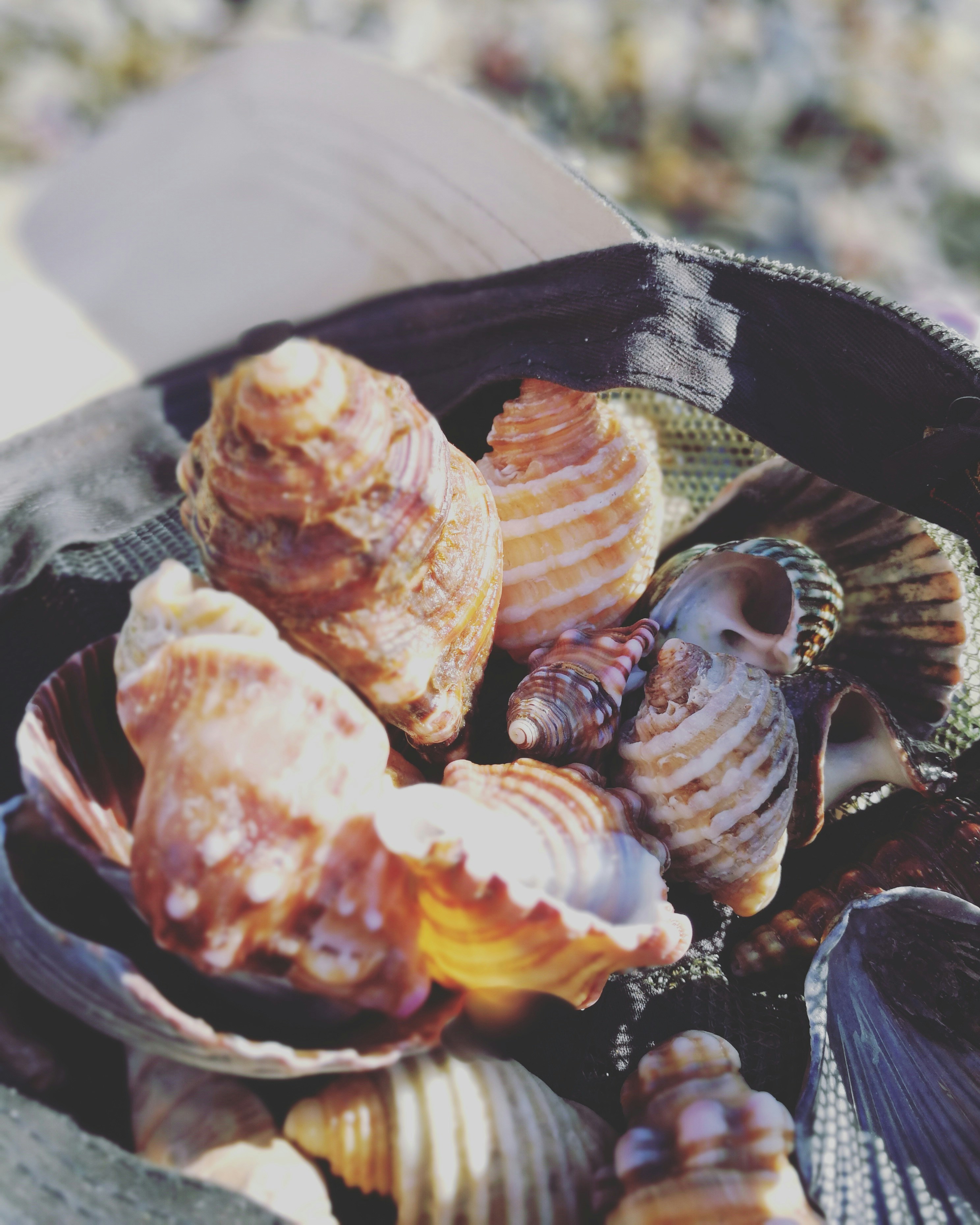 Free Unsplash photo from Madeleine Allen