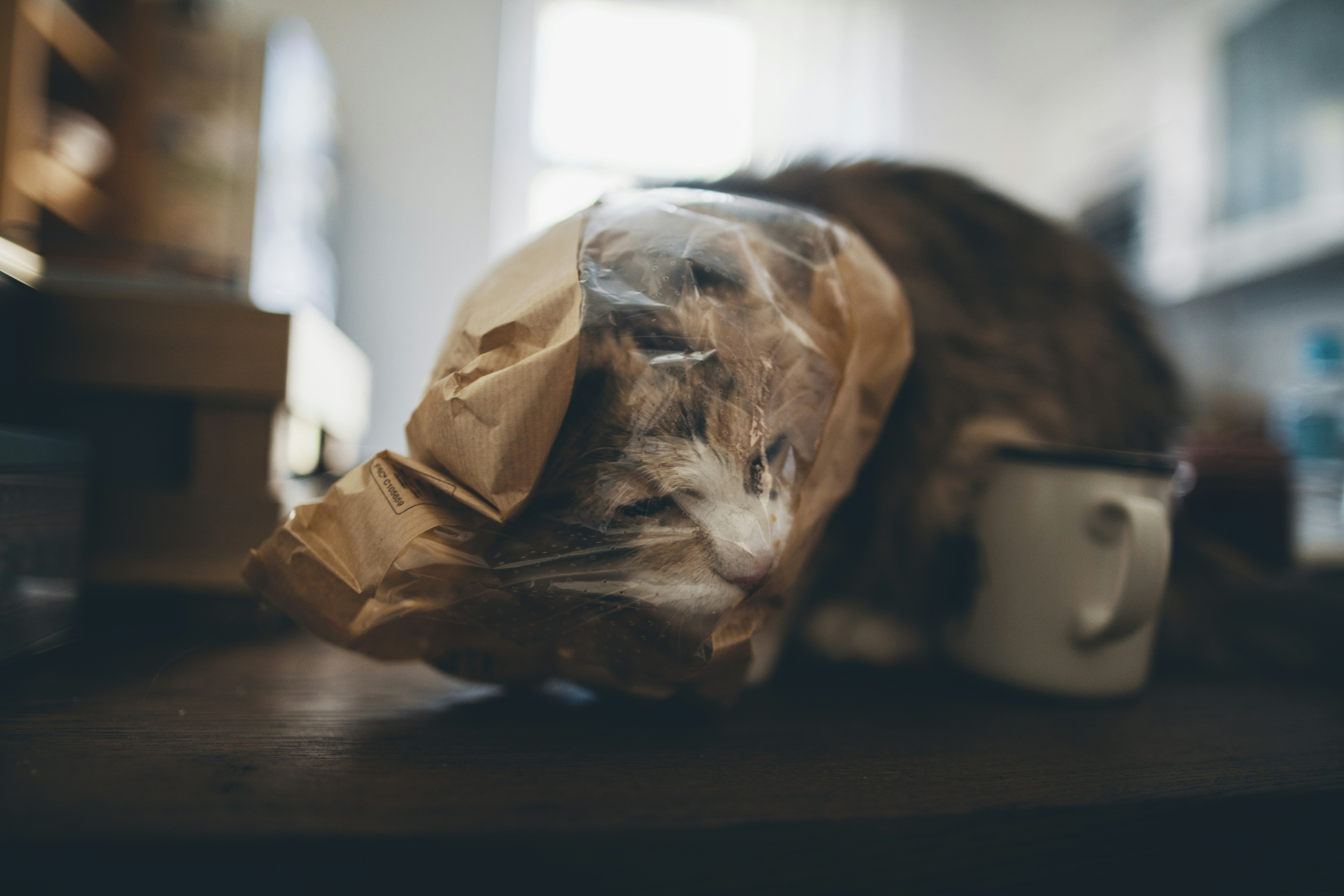 Free Unsplash photo from Hector Bermudez