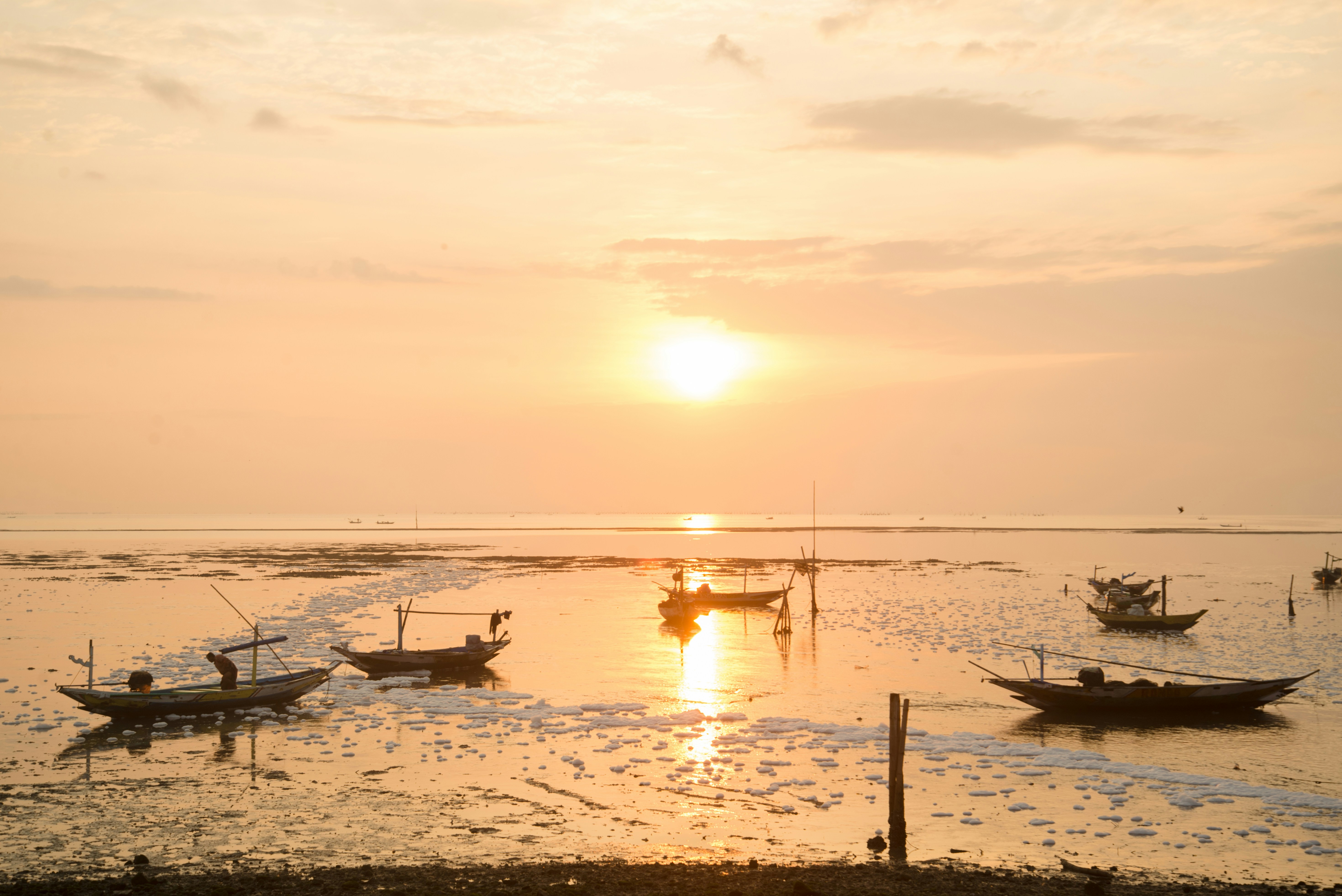 Free Unsplash photo from Andre Alfia Wildanaa