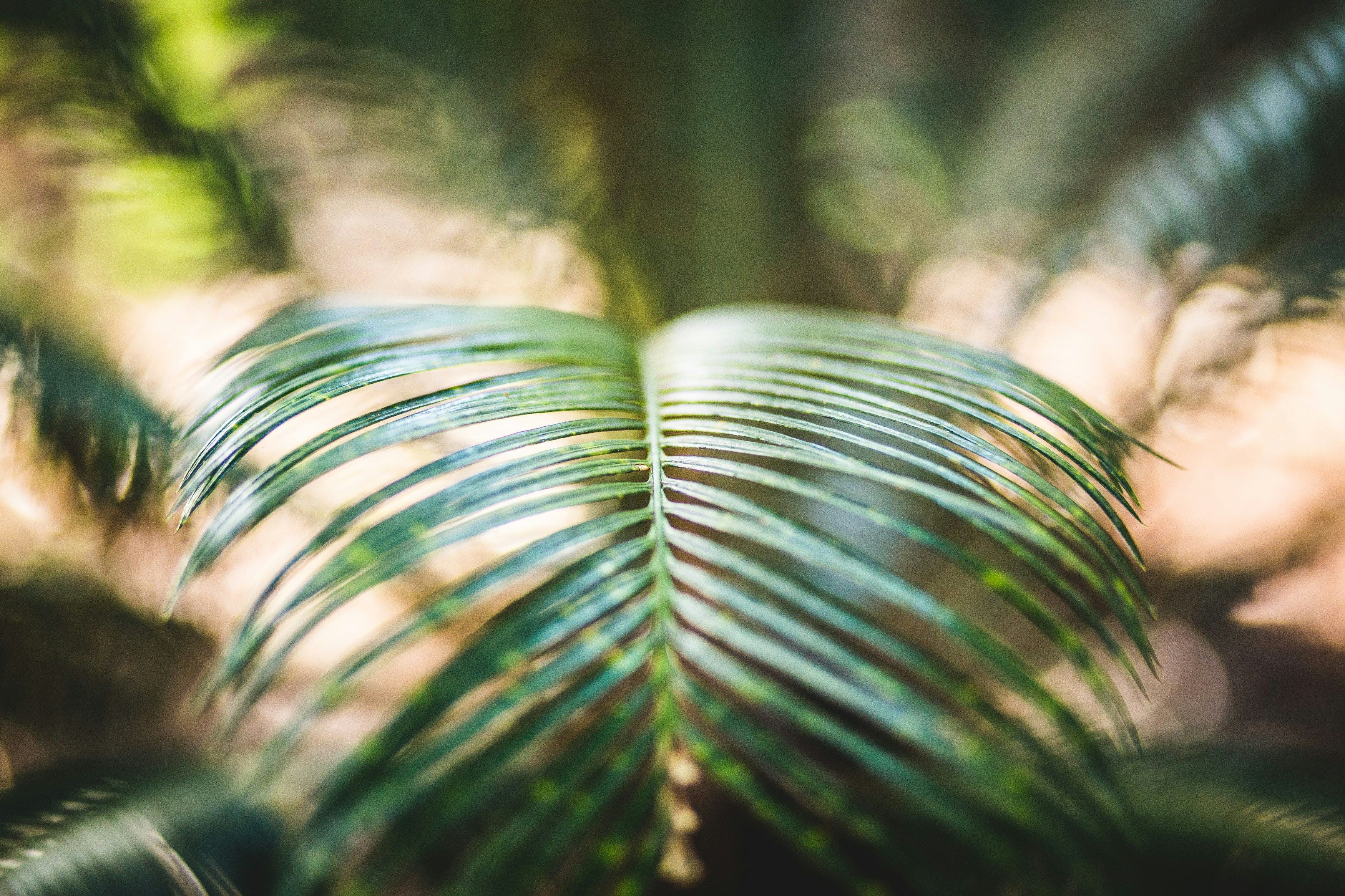 Free Unsplash photo from Luis Tosta