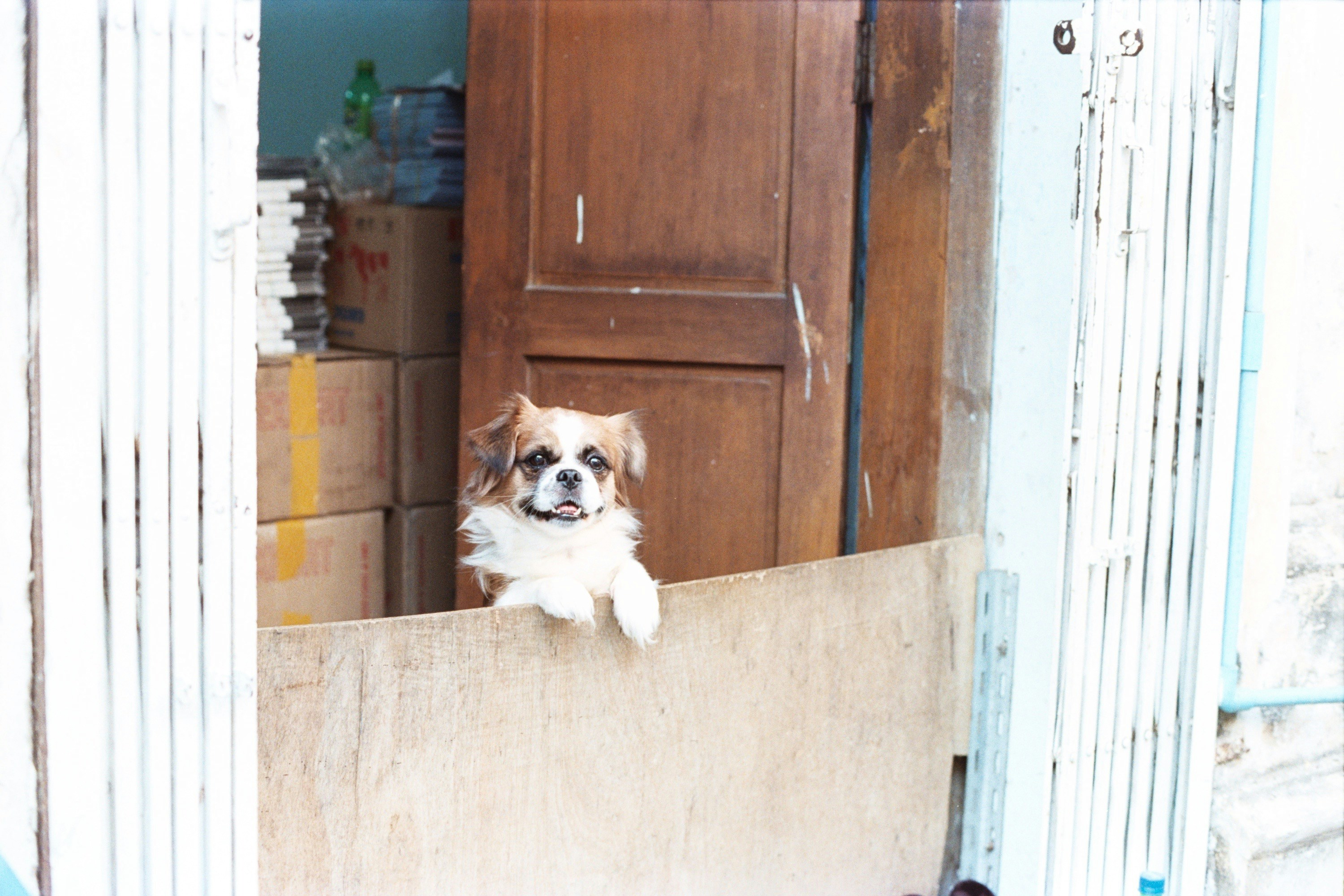 Free Unsplash photo from Tara B