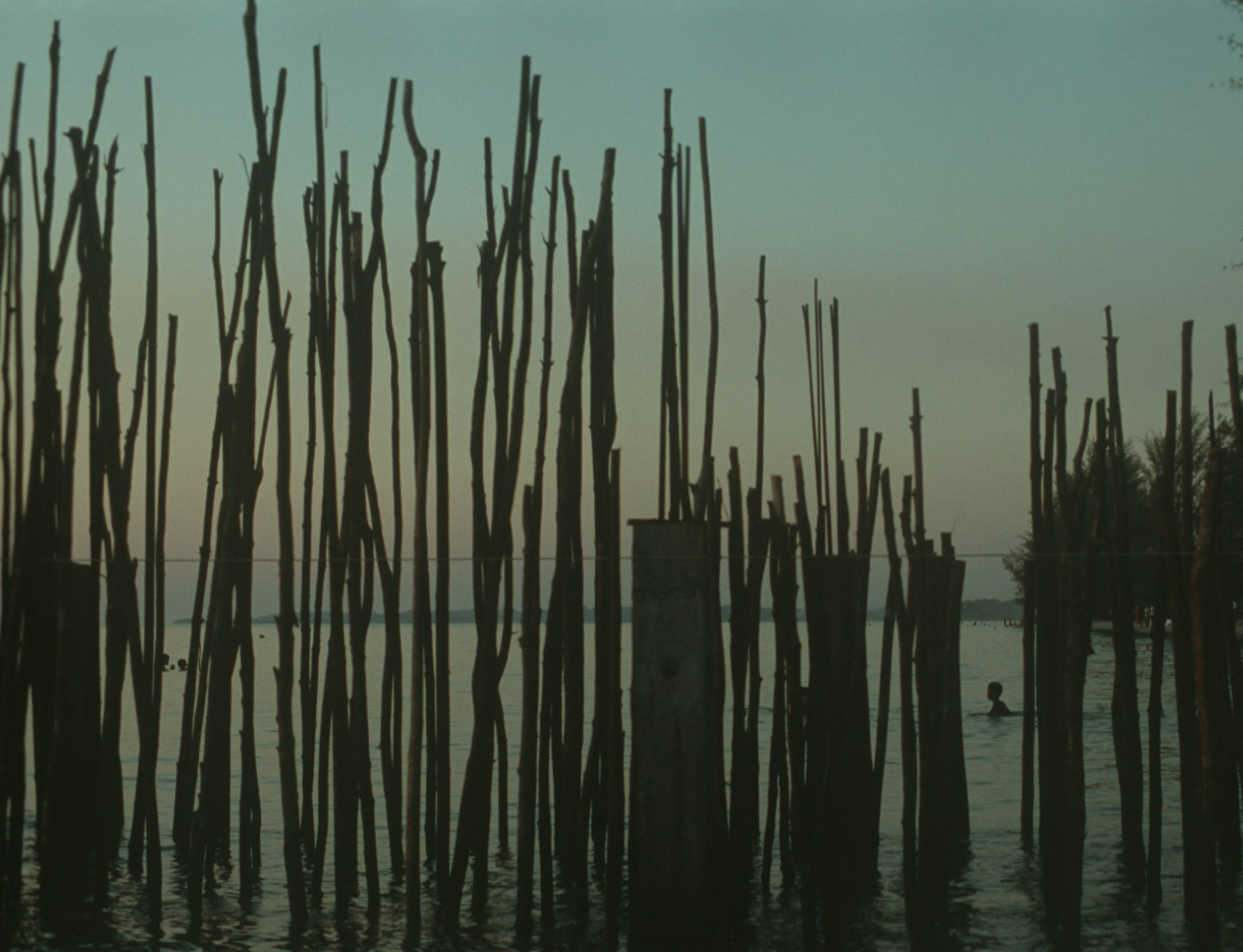 Free Unsplash photo from Tara B