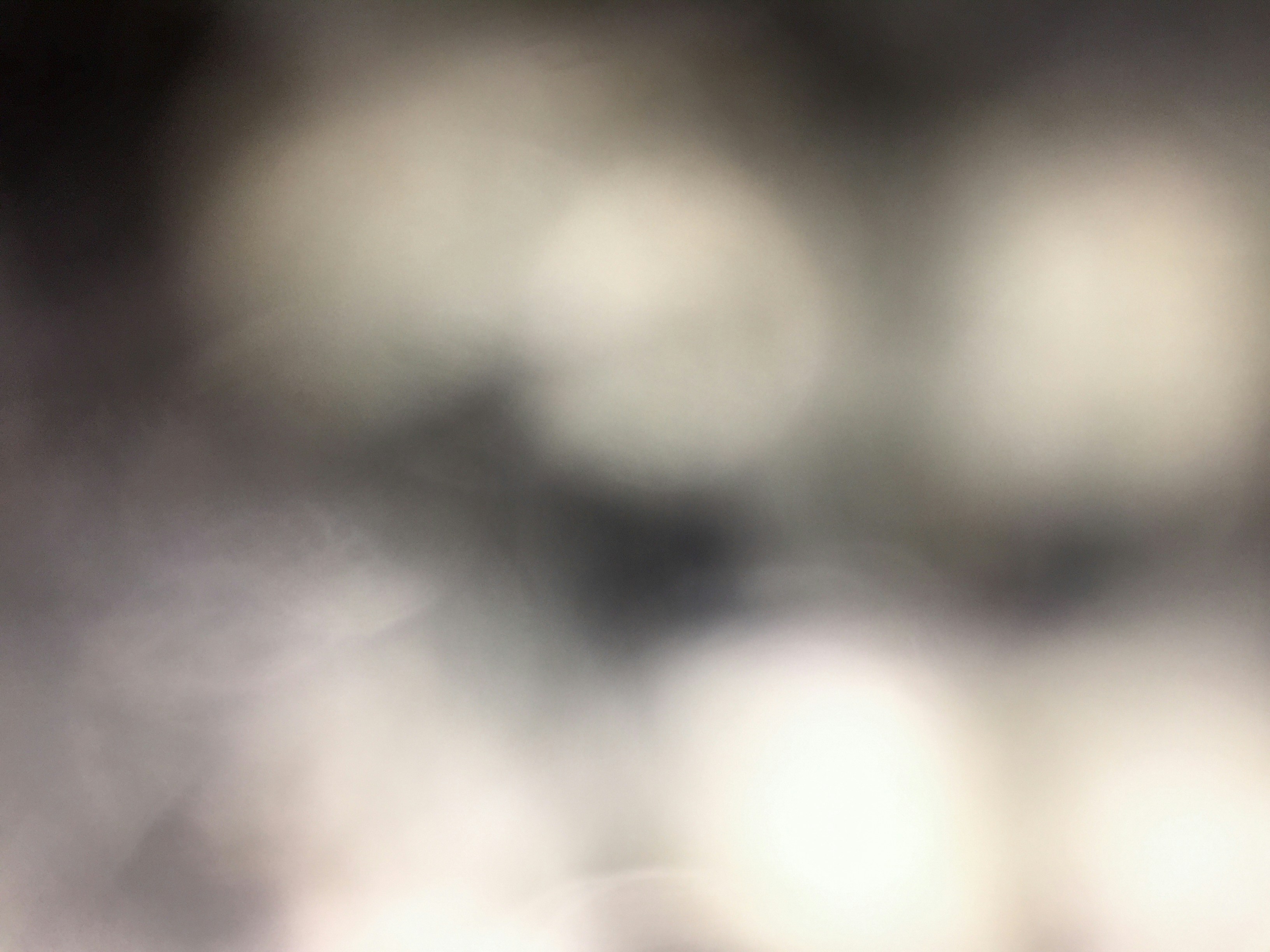 Free Unsplash photo from Reiner Knudsen