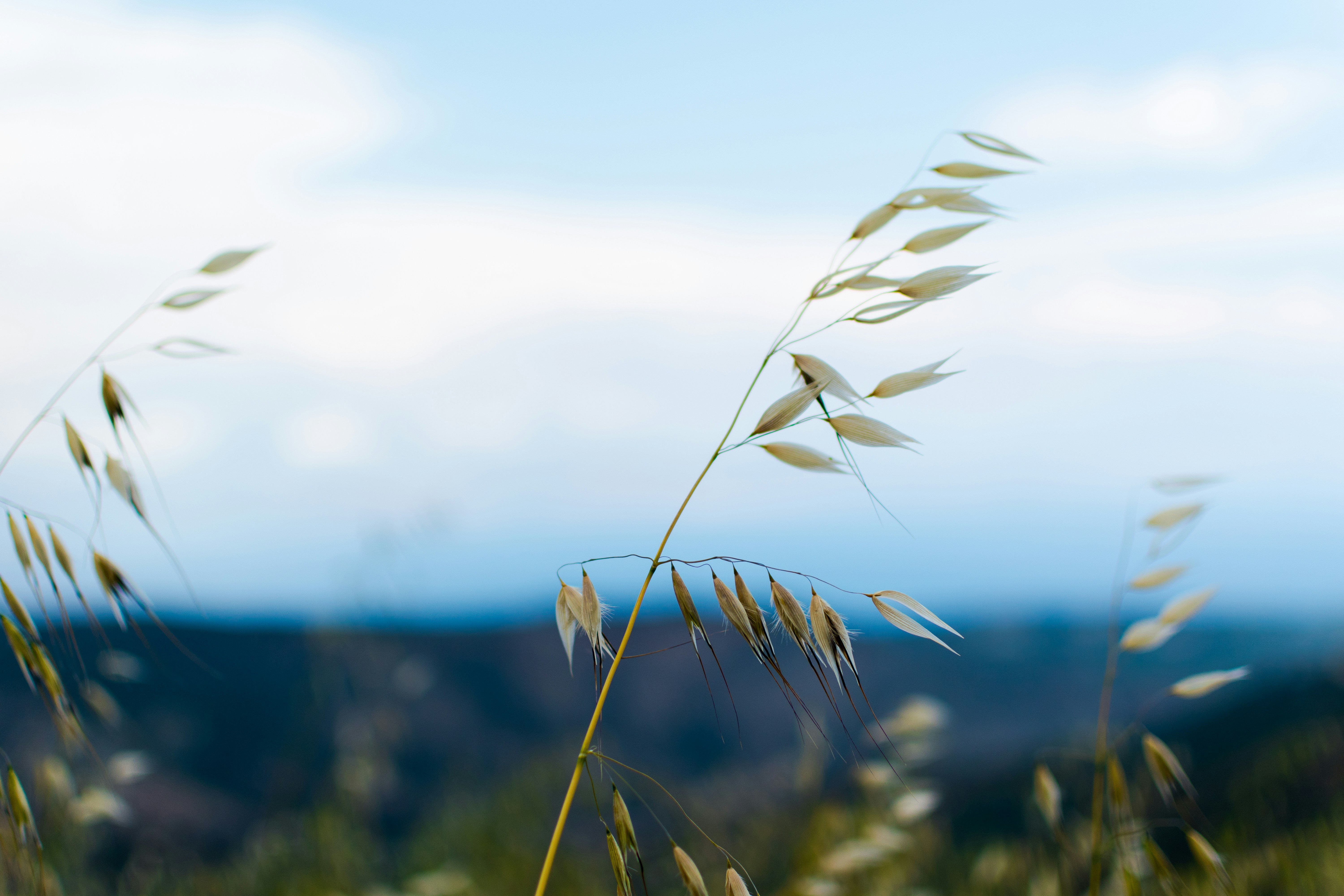 Free Unsplash photo from Jason Blackeye