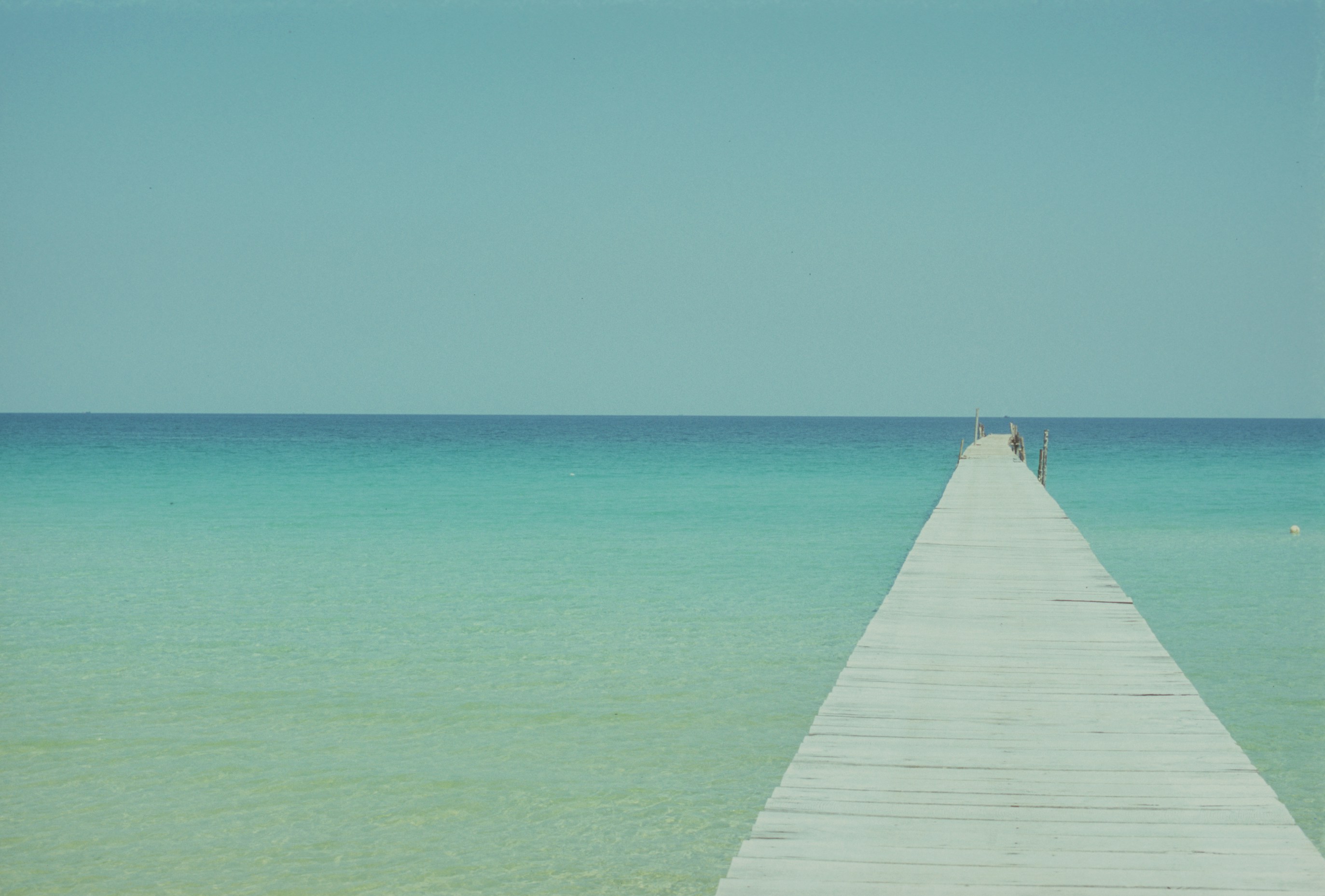 Free Unsplash photo from Tara B