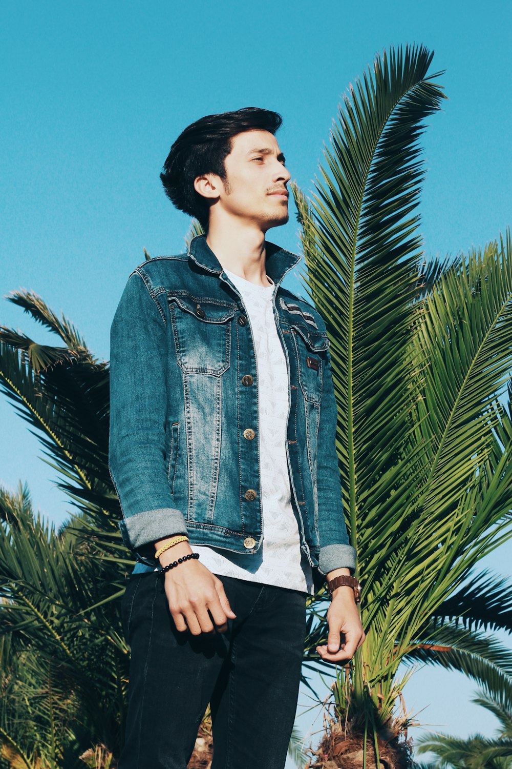 man standing near palm trees