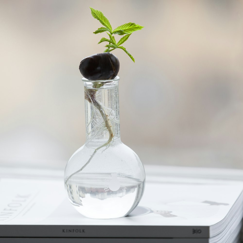 clear glass jar on book