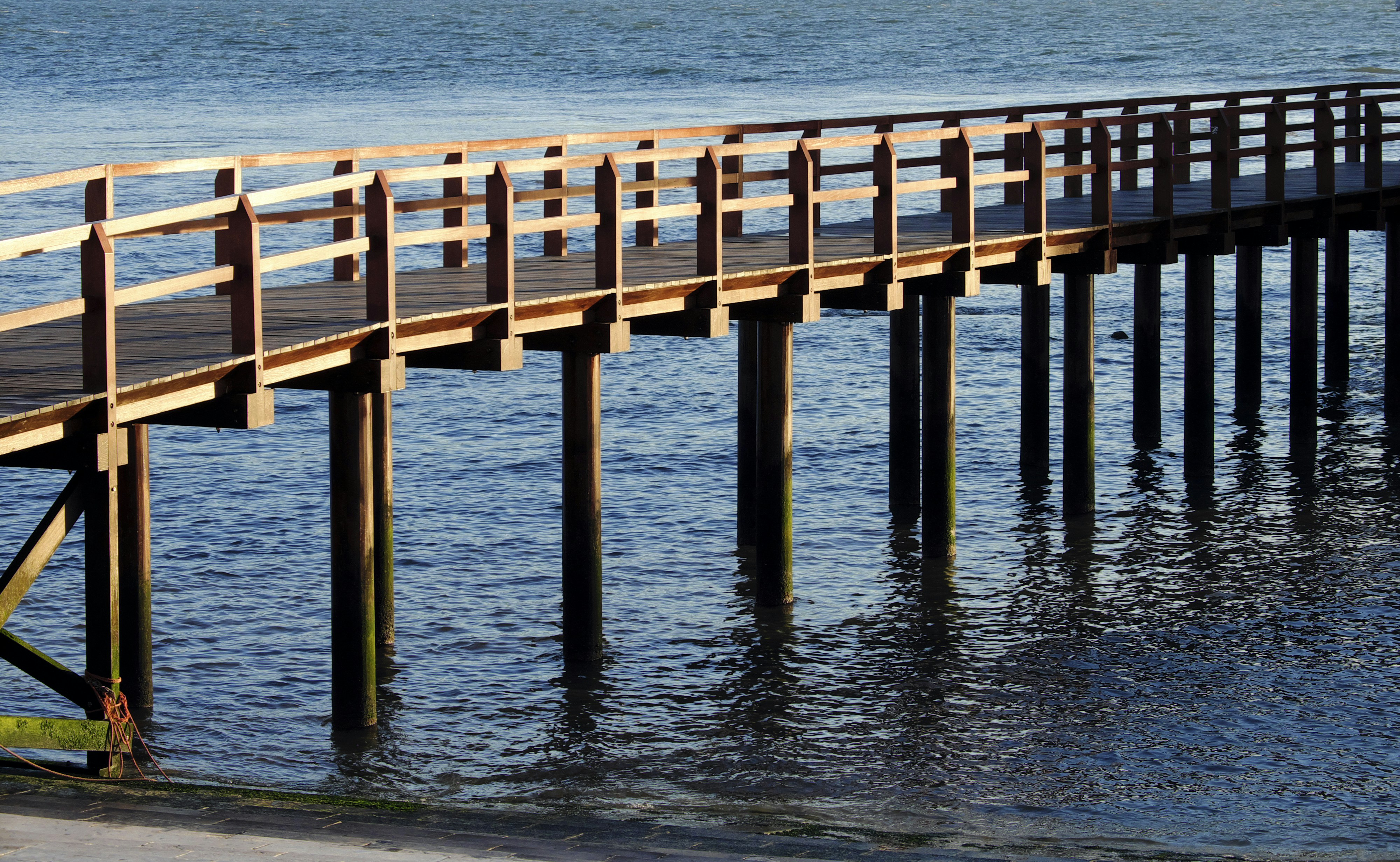 Free Unsplash photo from Miguel A. Amutio