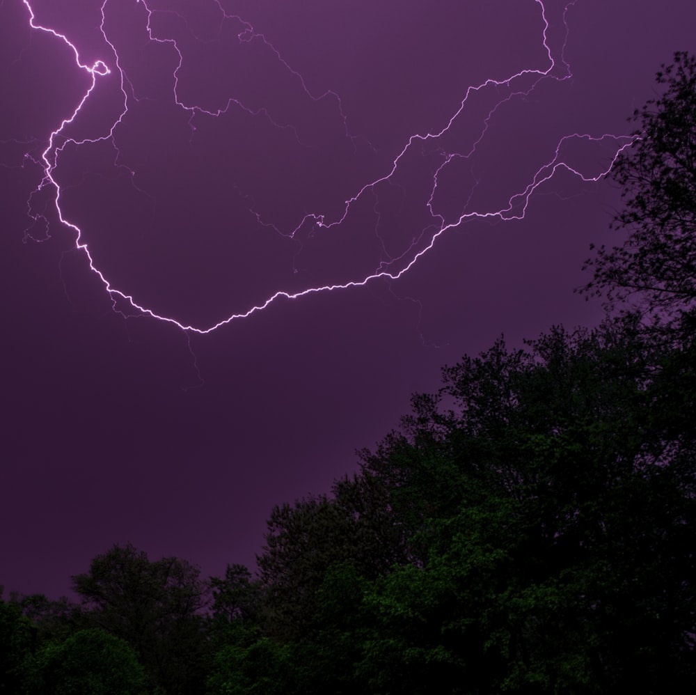 photo of trees during thunderstorms