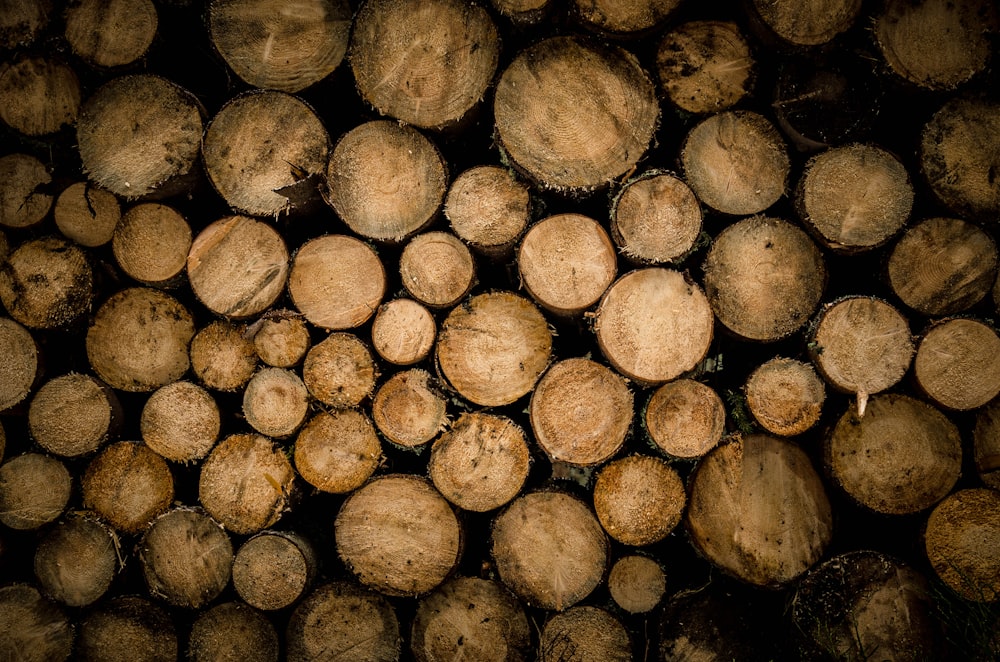 brown chopped logs