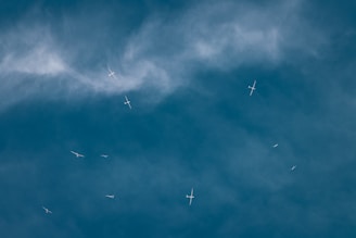 Close-up of a glider soaring gracefully against a clear blue sky.