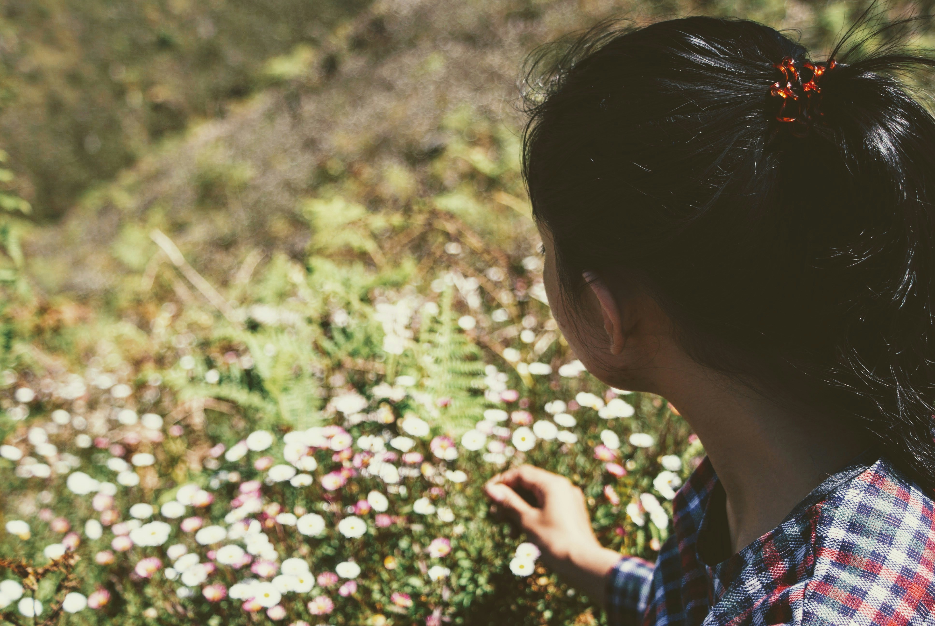 Free Unsplash photo from Ratna Setya