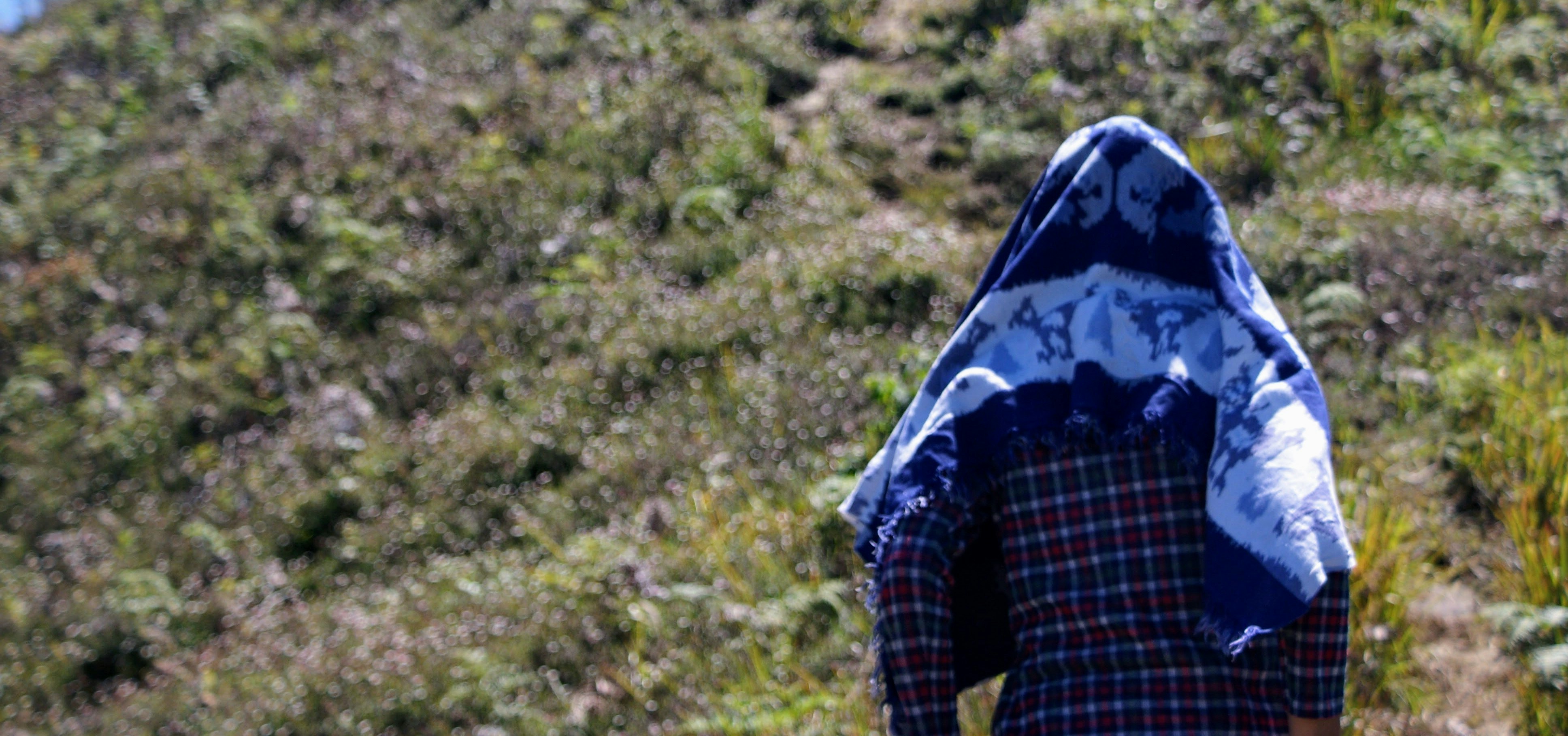 Free Unsplash photo from Ratna Setya