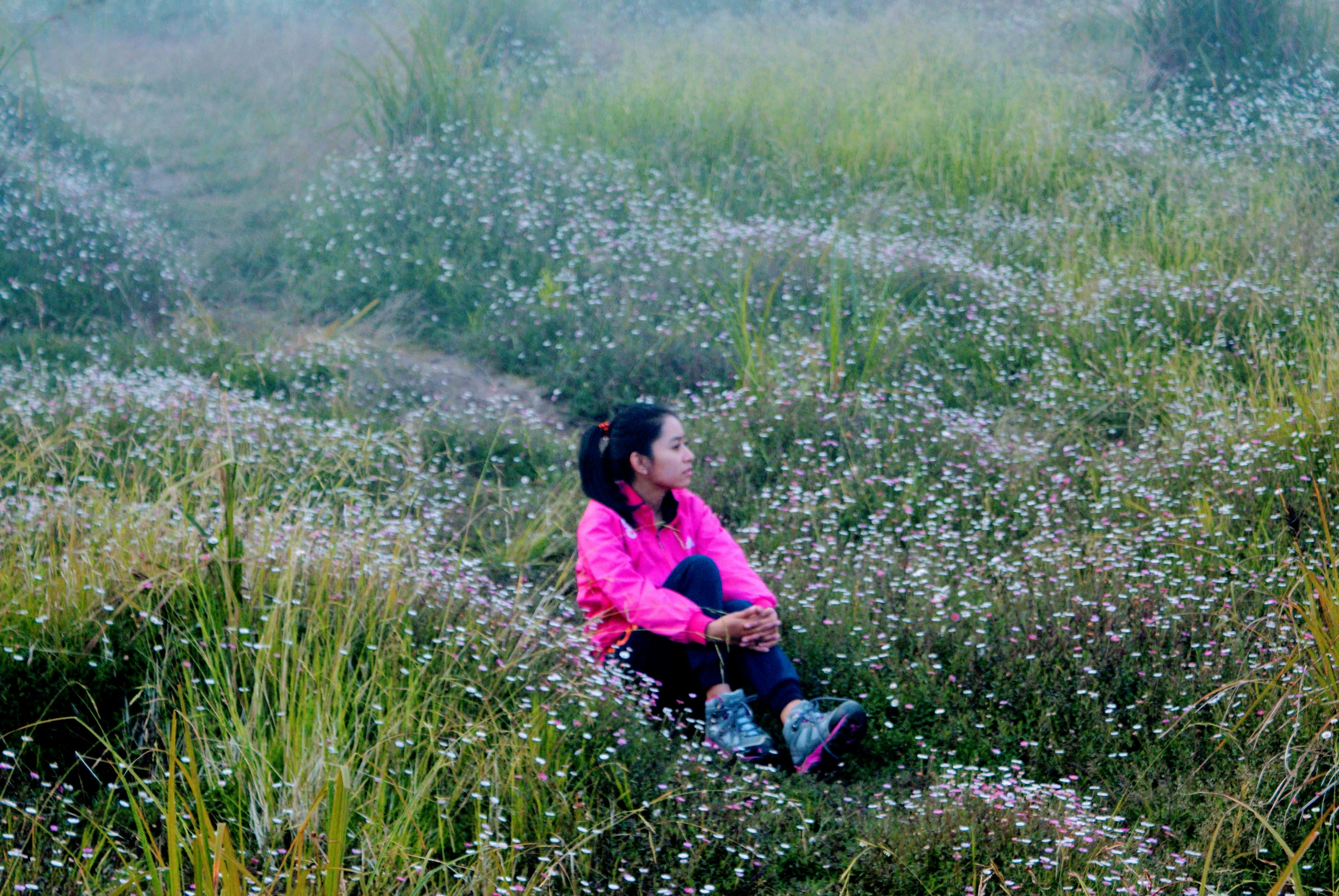 Free Unsplash photo from Ratna Setya