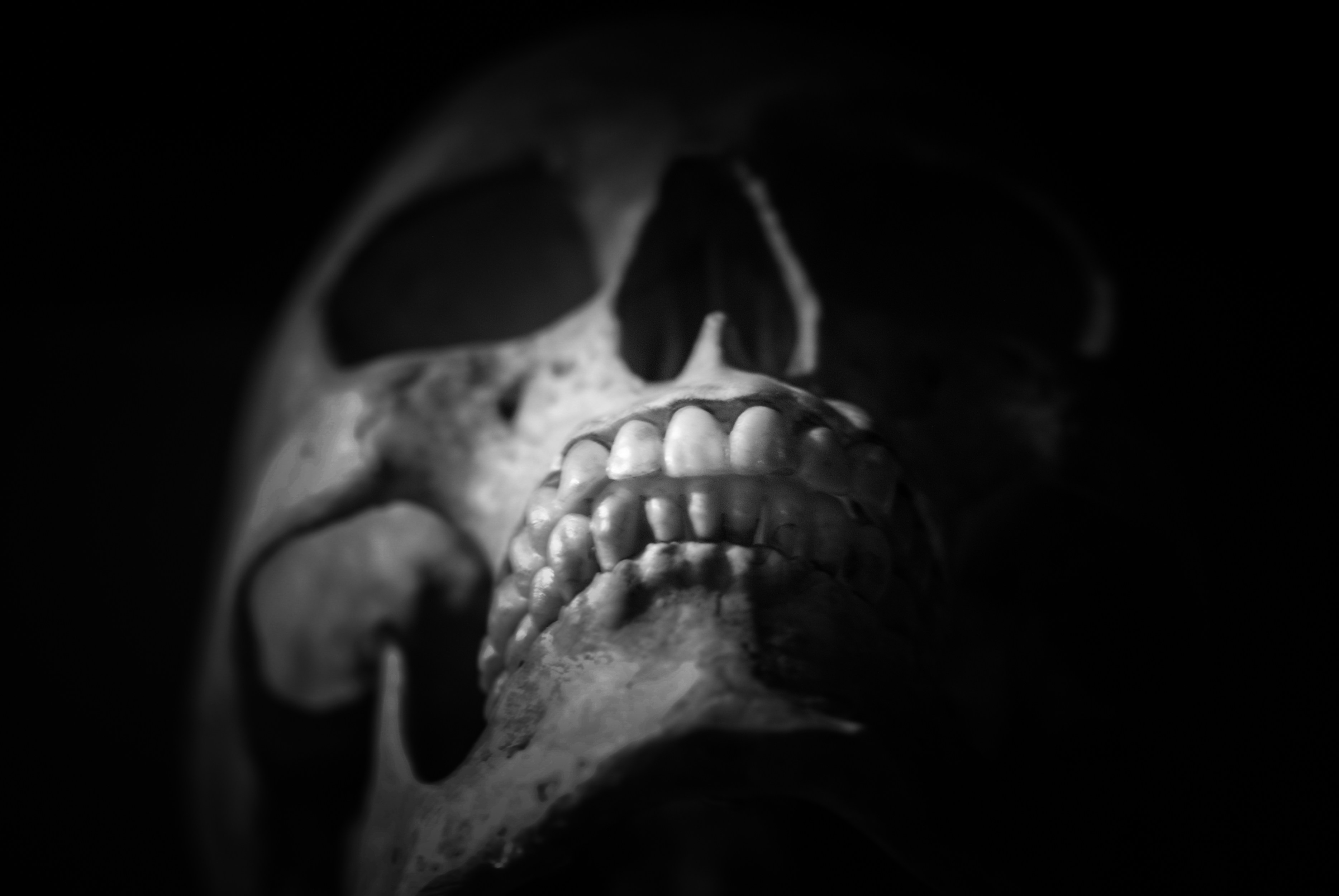 Free Unsplash photo from Joe Shillington