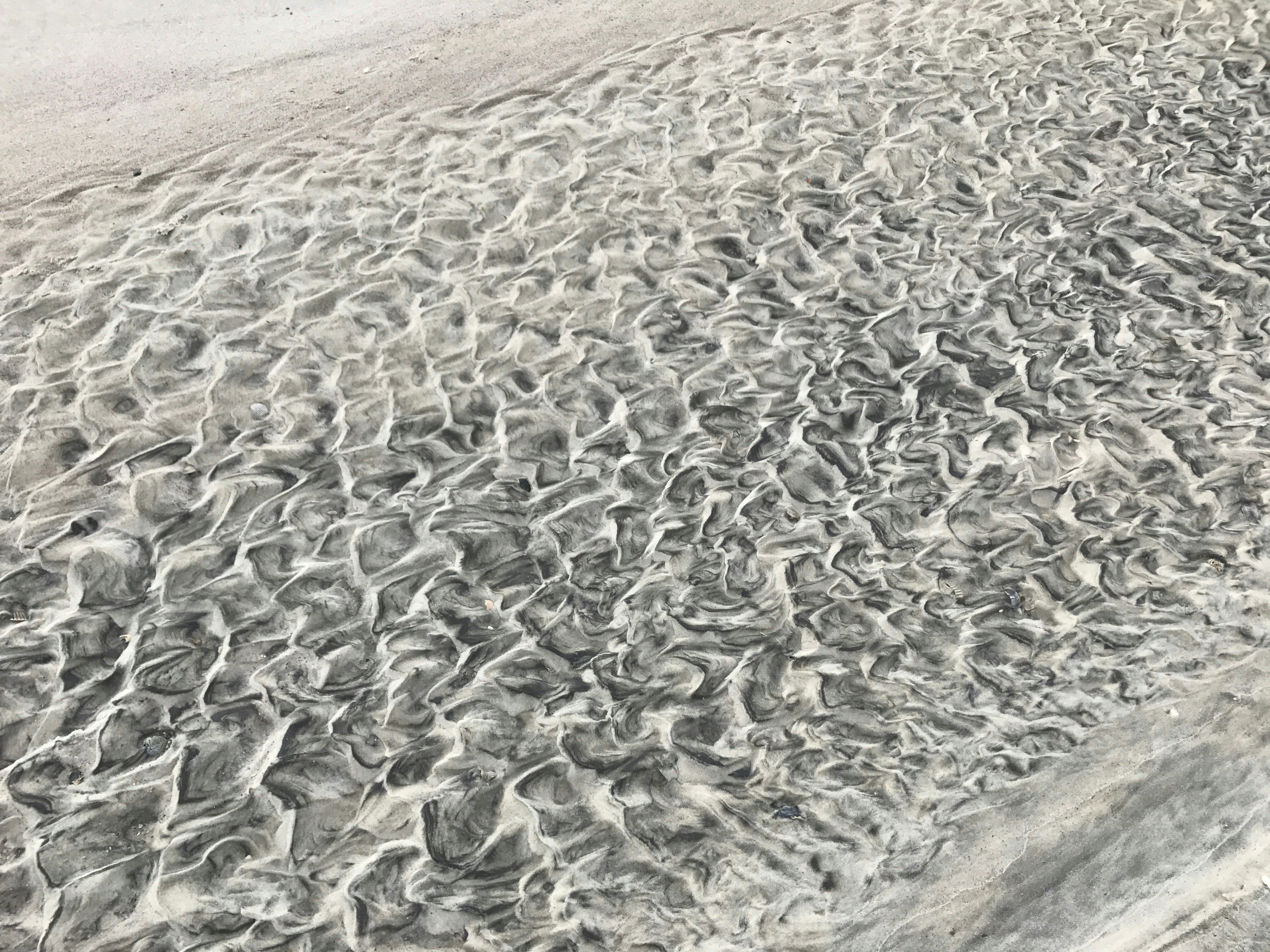 Free Unsplash photo from Thad Puckett