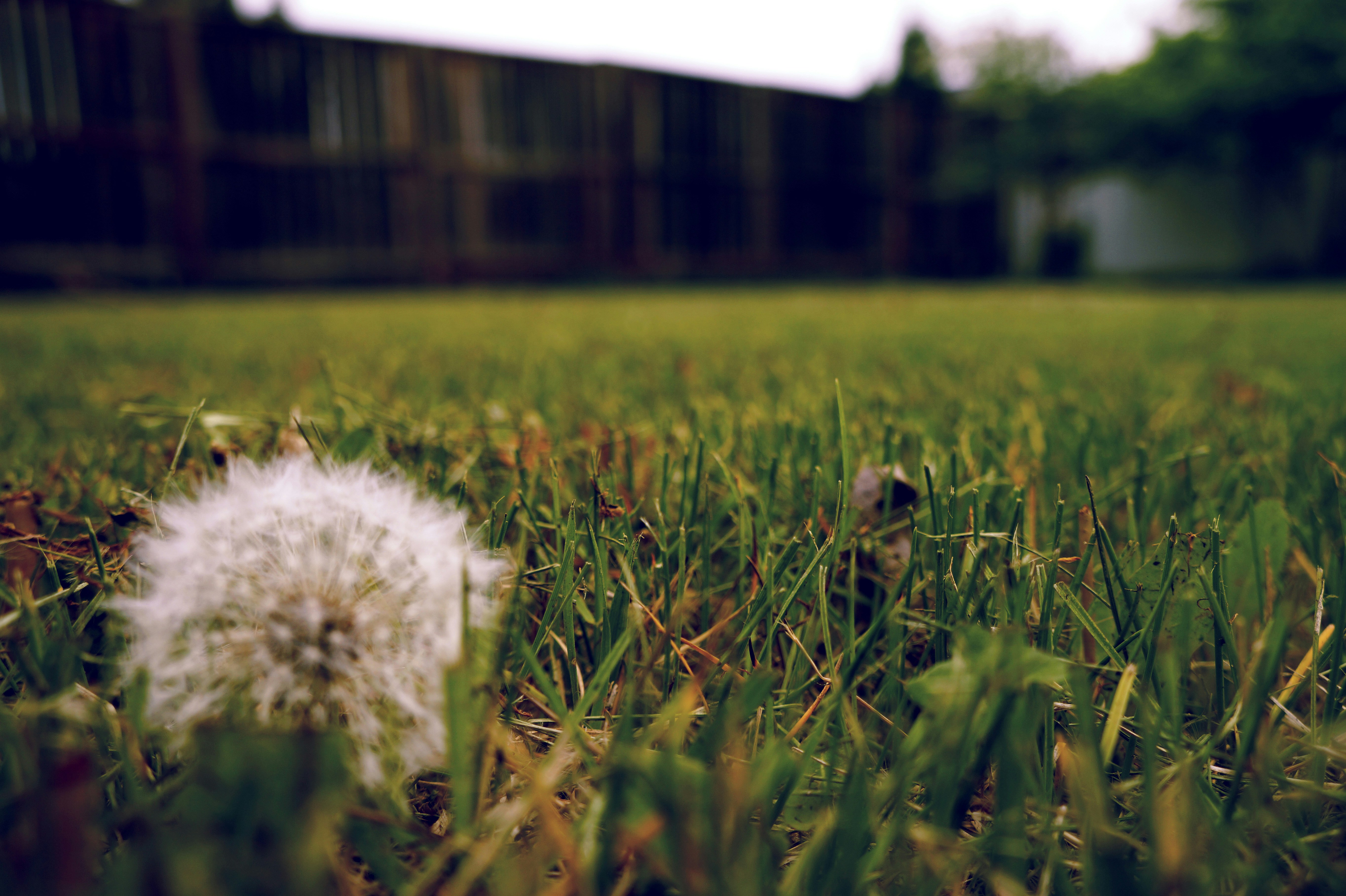 Free Unsplash photo from Dilawer Hussain