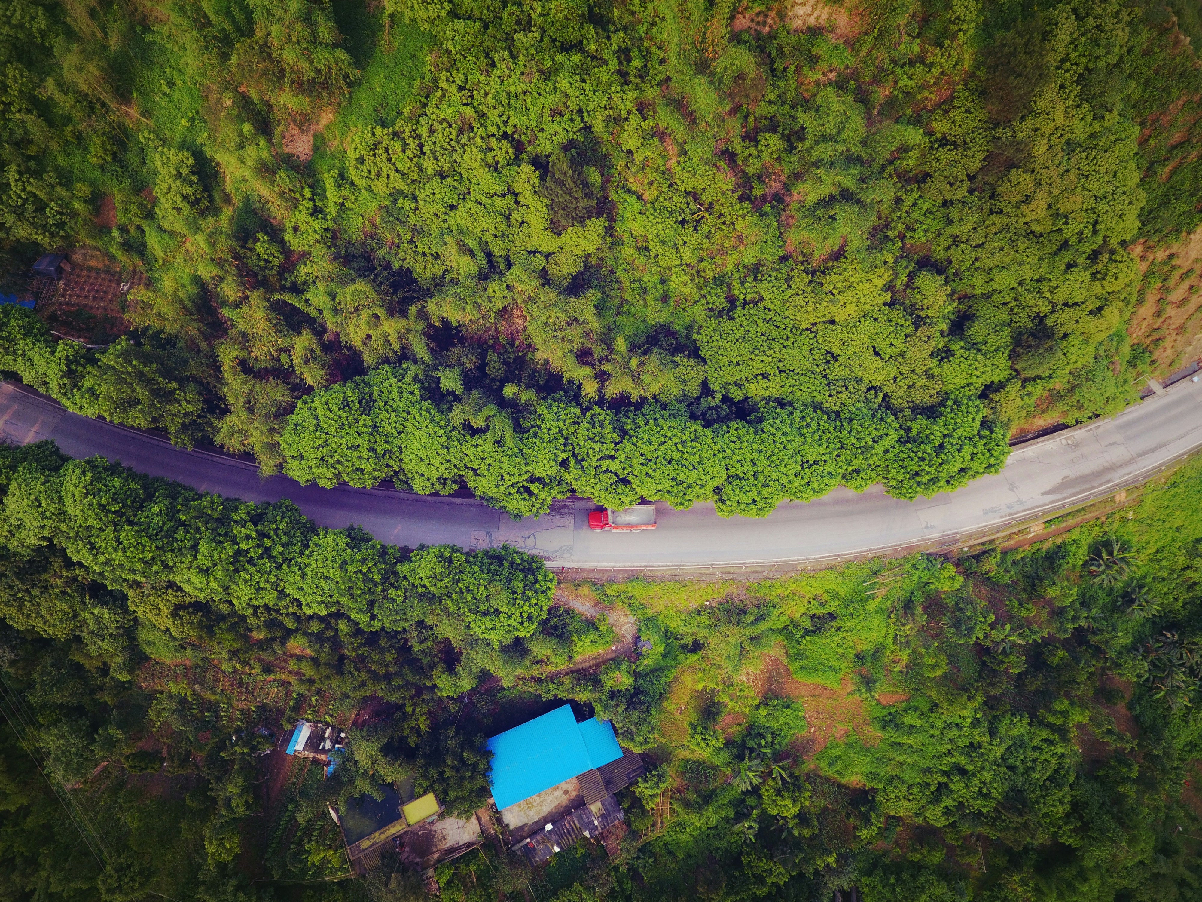 Free Unsplash photo from Yang Sophia