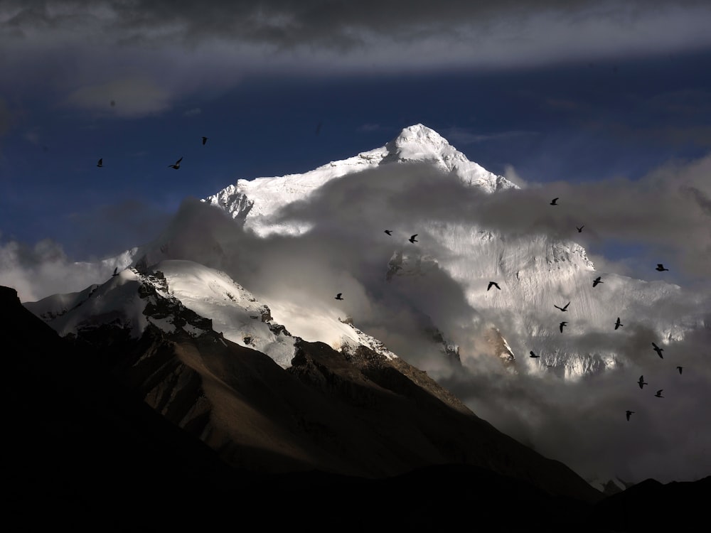 Foto de pájaros volando cerca de la montaña nevada