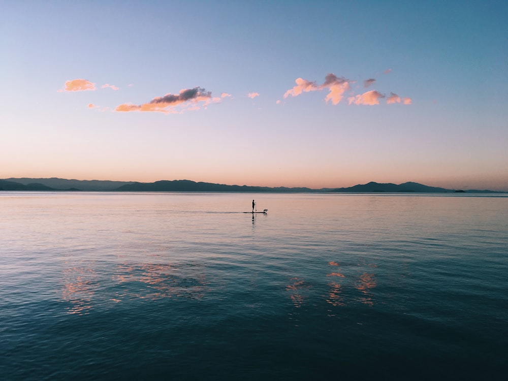 silhouette of stick on body of water