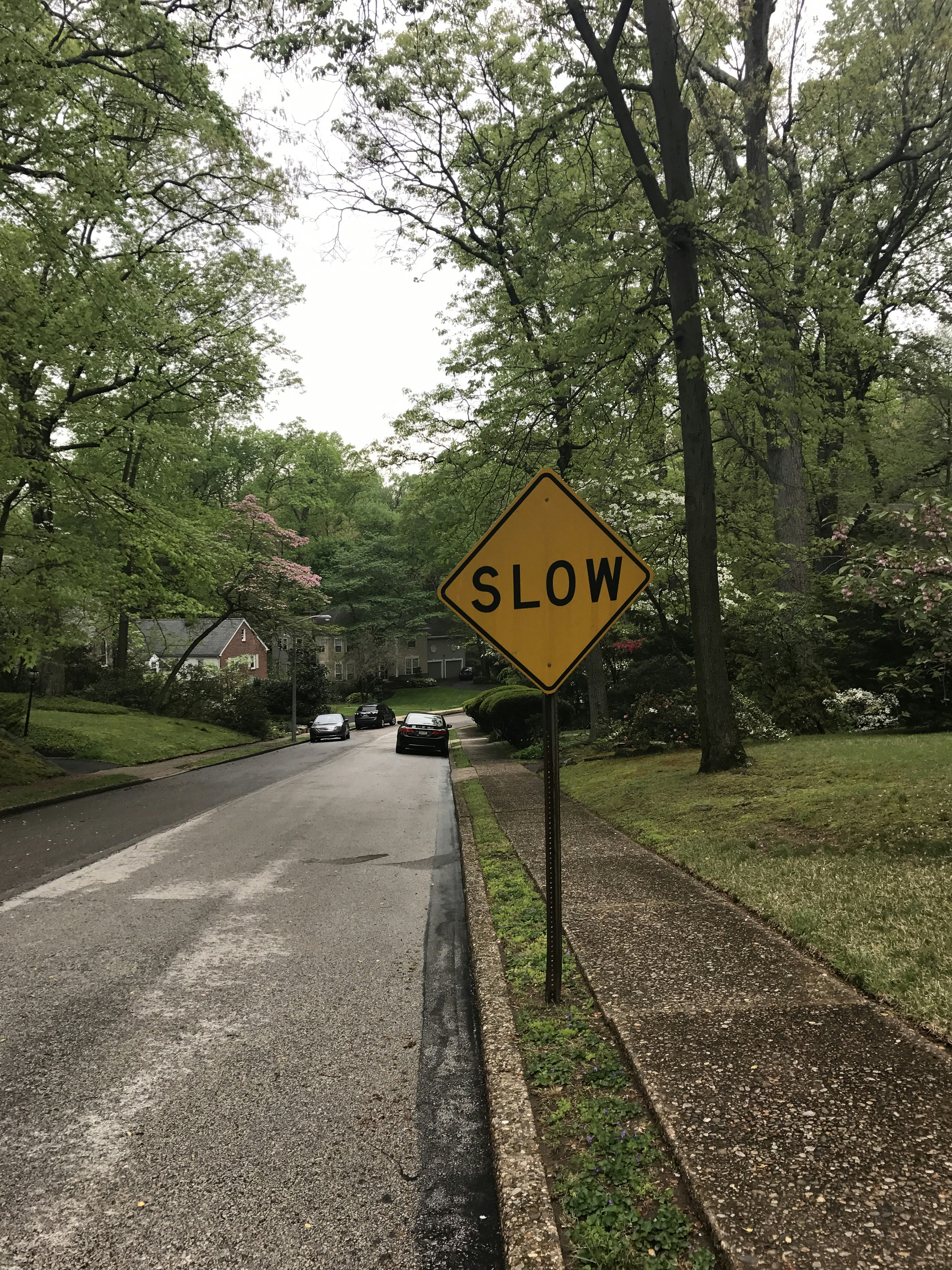 Free Unsplash photo from Kim Upshaw