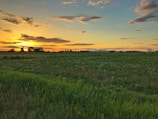 Picturesque sunset over the fields of Mundathicode.
