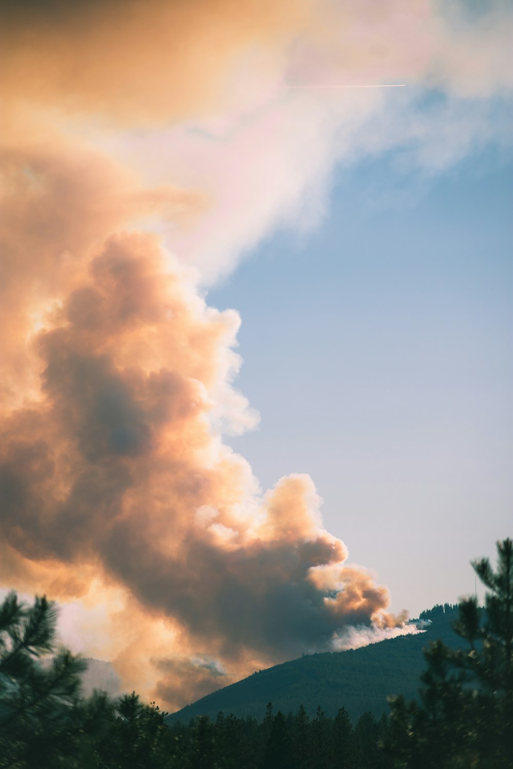 trees and mountain with smoke at daytime