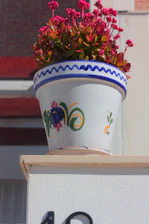 A glazed ceramic pot with intricate patterns holding a vibrant flowering plant.