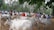 A group of cows with white coats and distinctive humpbacks are gathered in an open, wooded area. They are surrounded by numerous people, presumably farmers or traders, standing and observing the cattle. The scene has a rural and pastoral setting, with trees in the background and a dirt ground.
