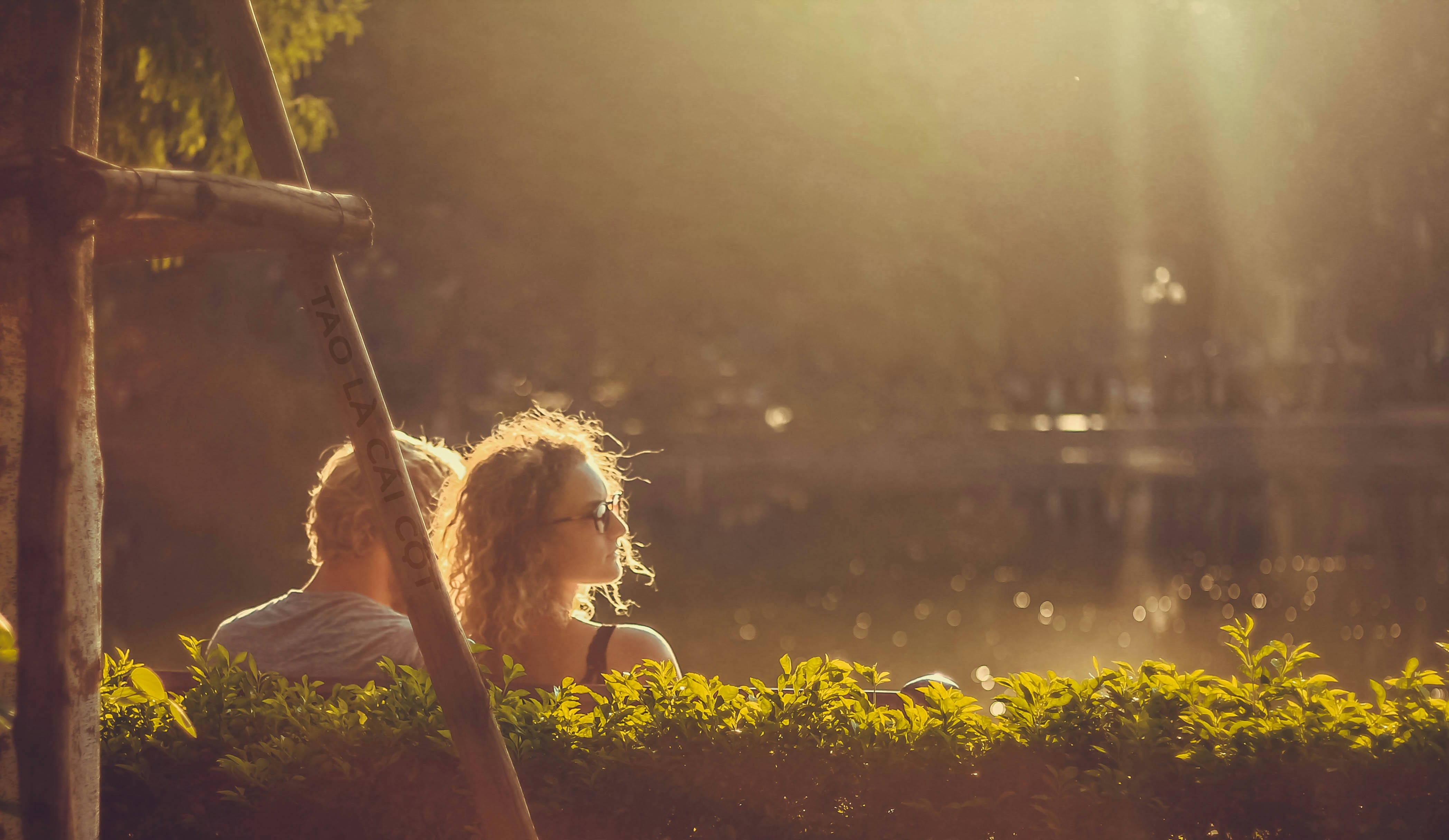 Free Unsplash photo from Trần Đạt