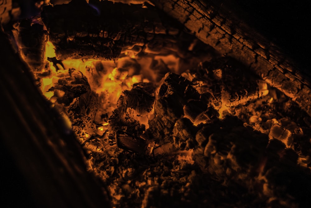 closeup photo of burning coal