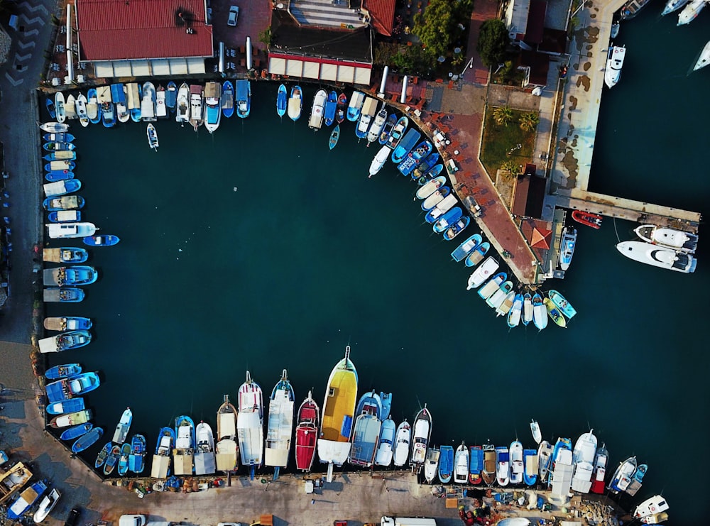 bird's eye view of docks beside boats