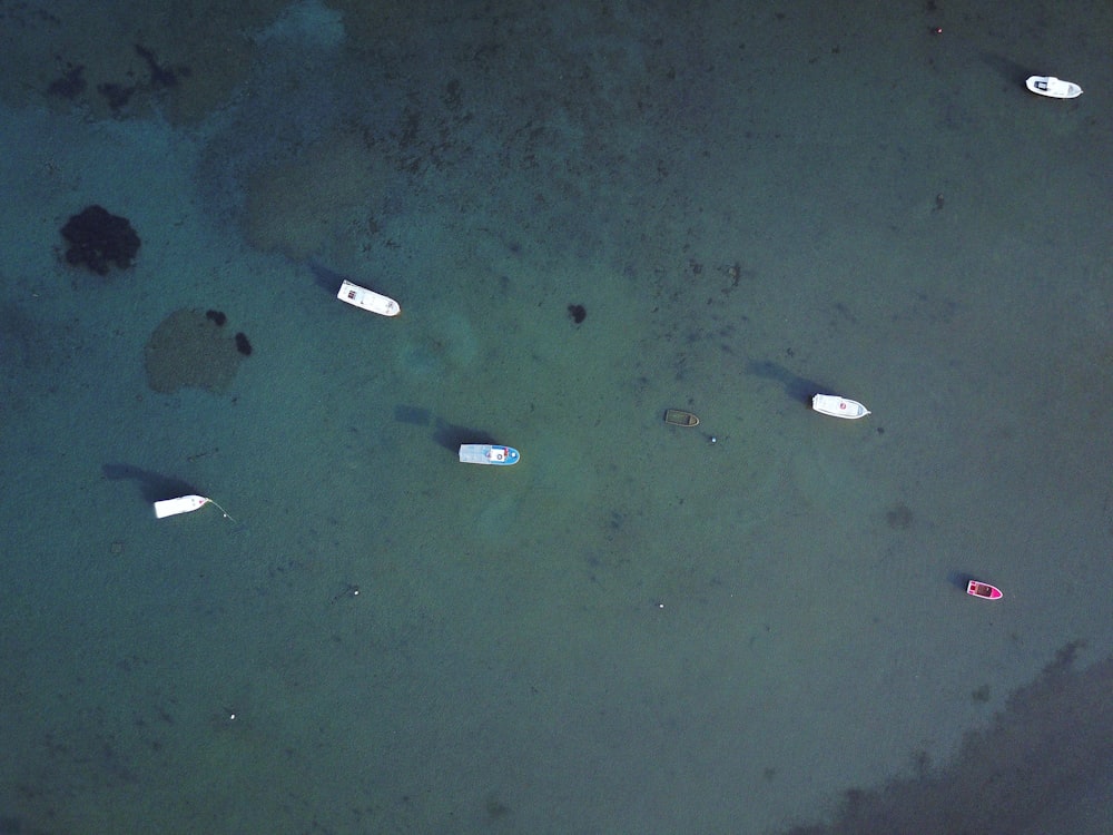 top view photography of six boats on body of water