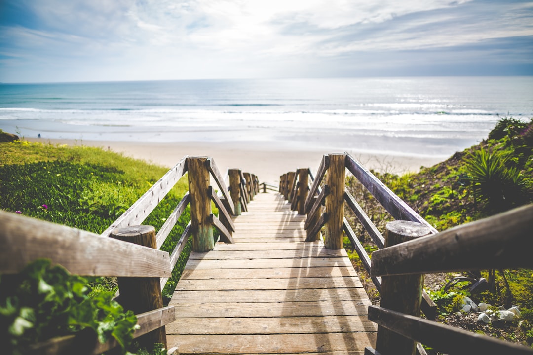 brown wooden walkway near beach during daytime,