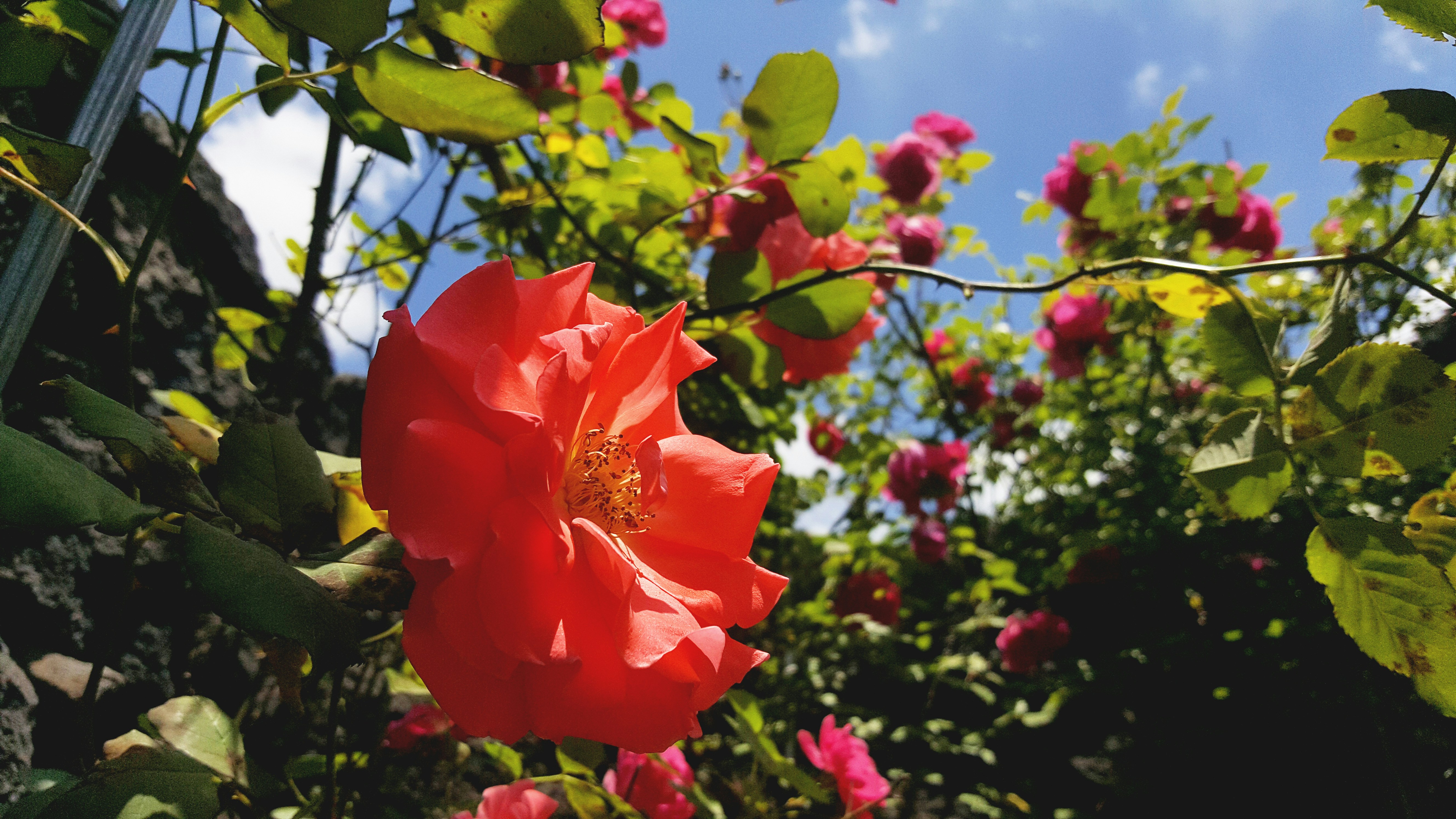 Free Unsplash photo from Lamant K