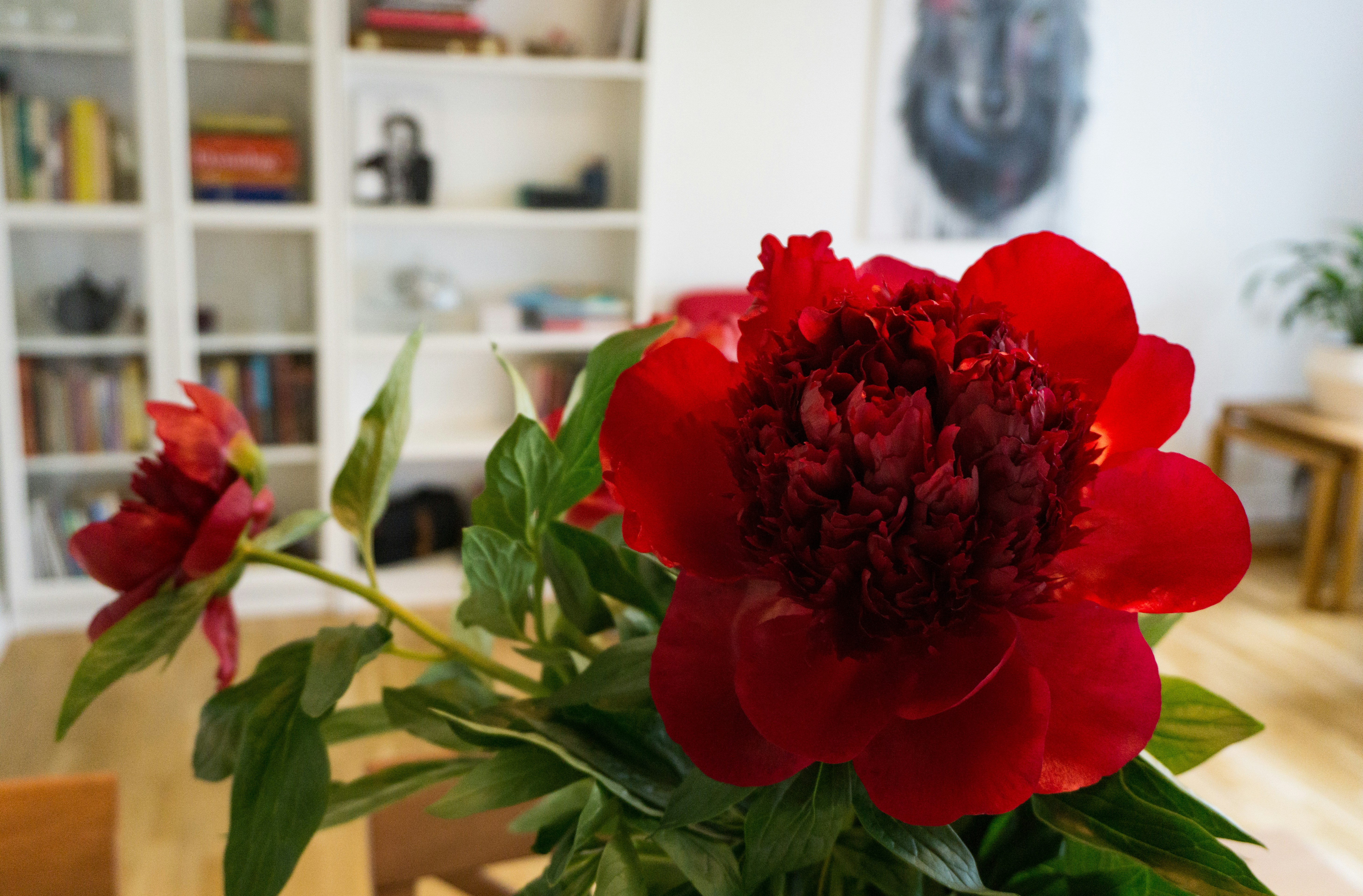 Free Unsplash photo from Haraldur Hugosson