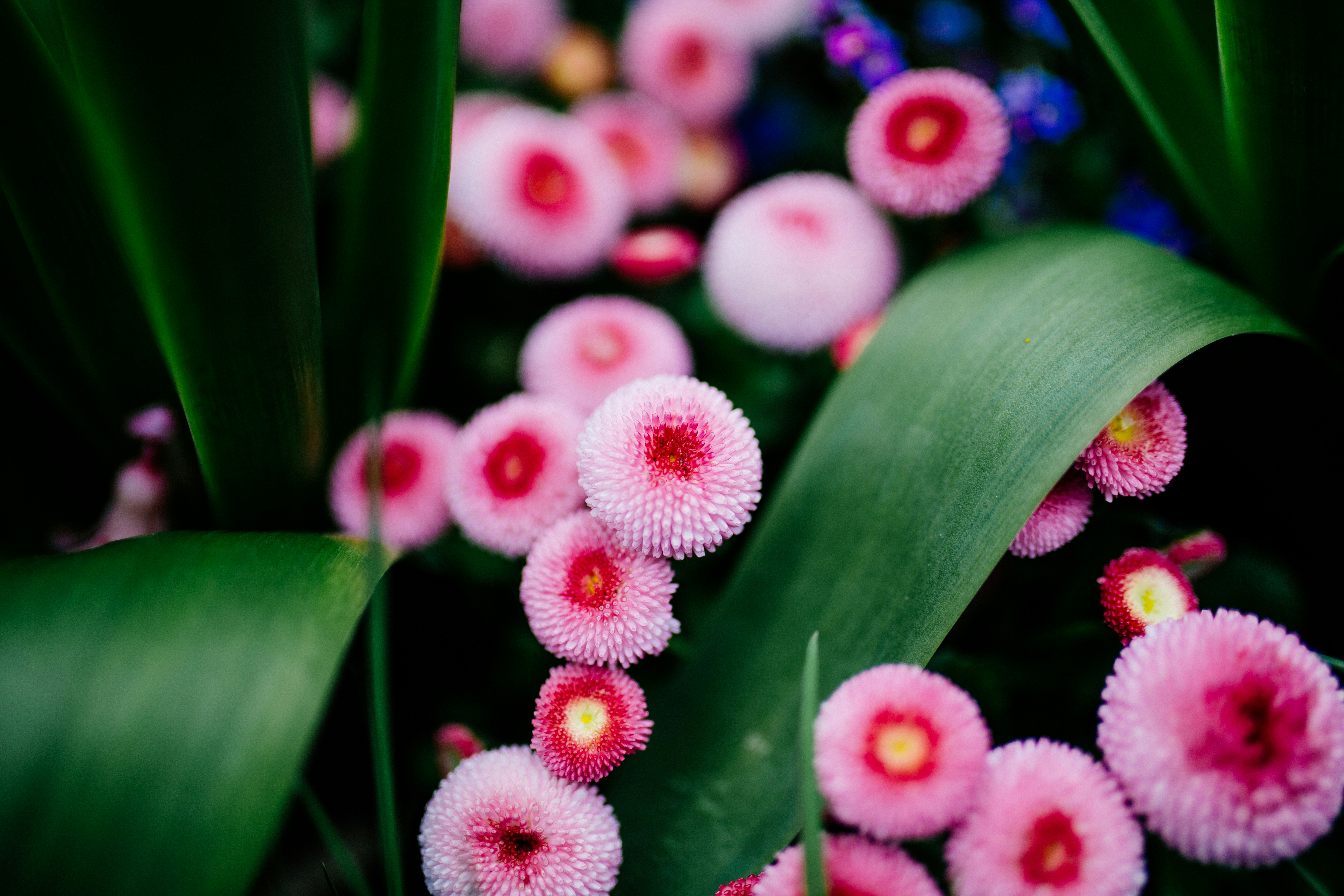 Free Unsplash photo from Dimitri Tyan