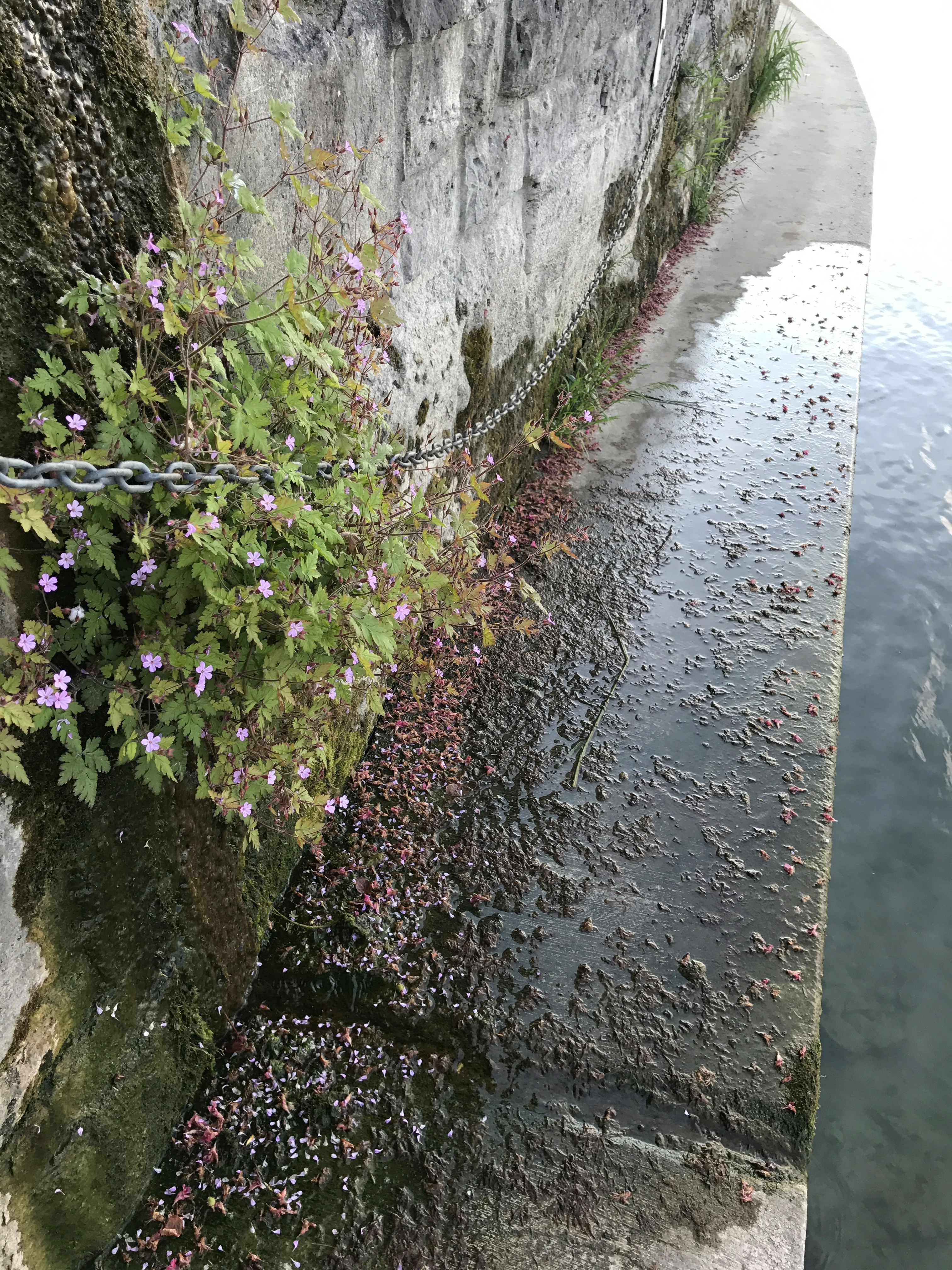 Free Unsplash photo from Samaneh Soleimani