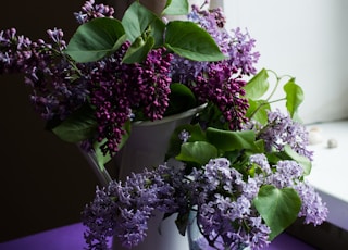 purple flower with green leafed on table