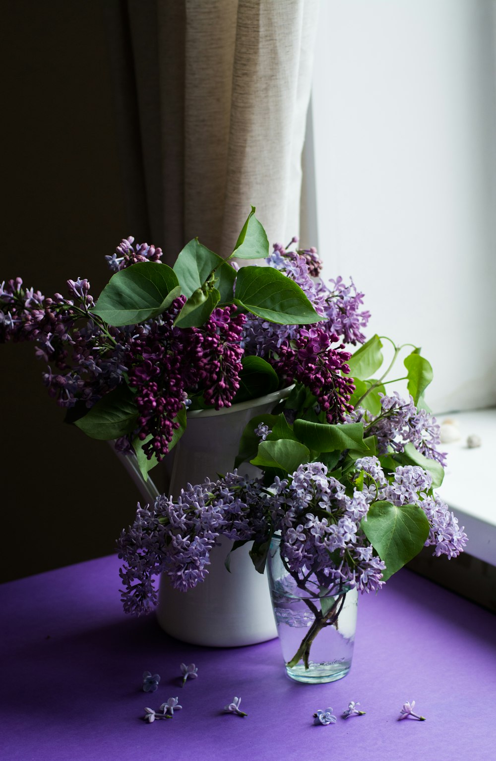 Purple flower with green leafed on table photo – Free Flower Image ...