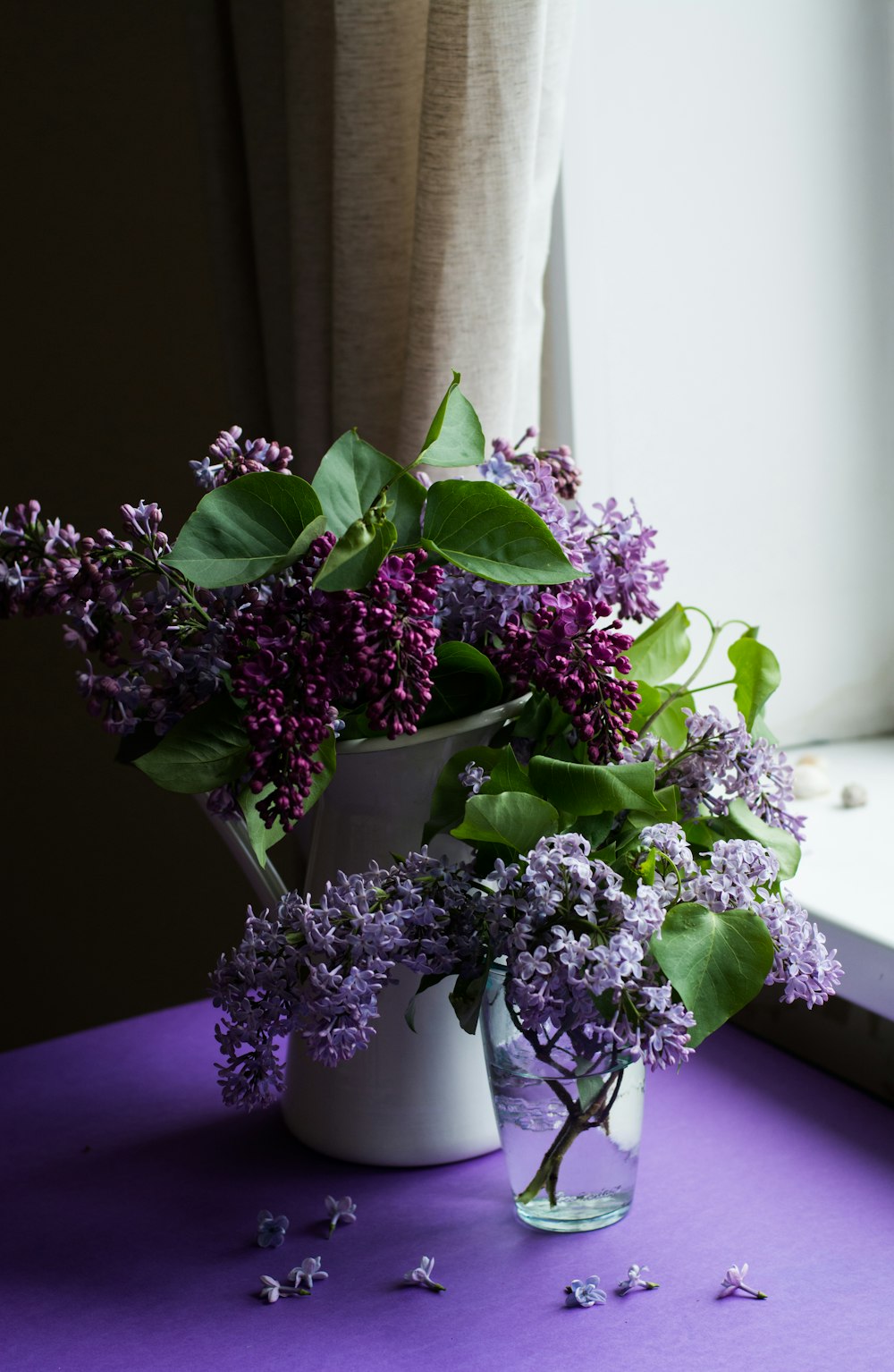 flor púrpura con hojas verdes sobre la mesa