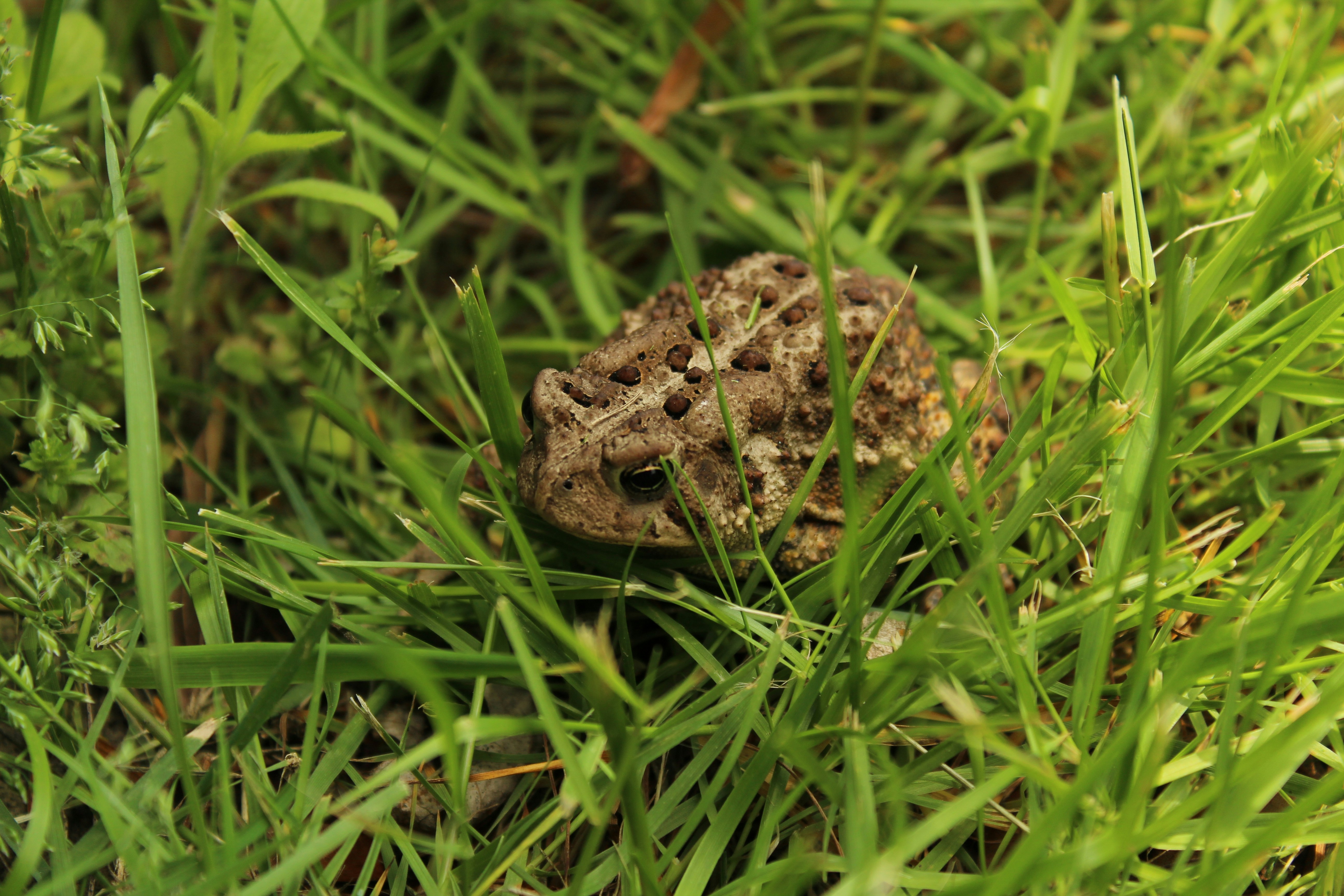 Free Unsplash photo from Troy Patterson