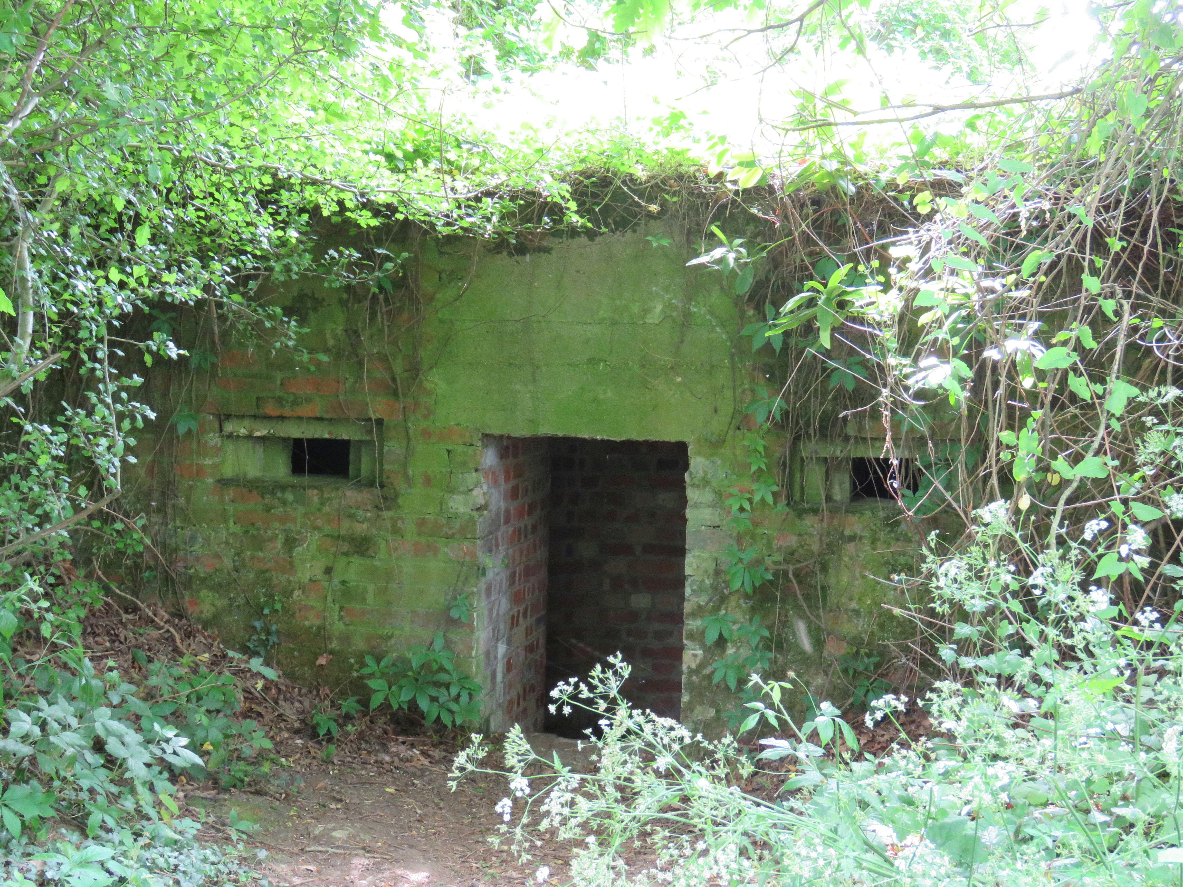 Free Unsplash photo from Chris Child