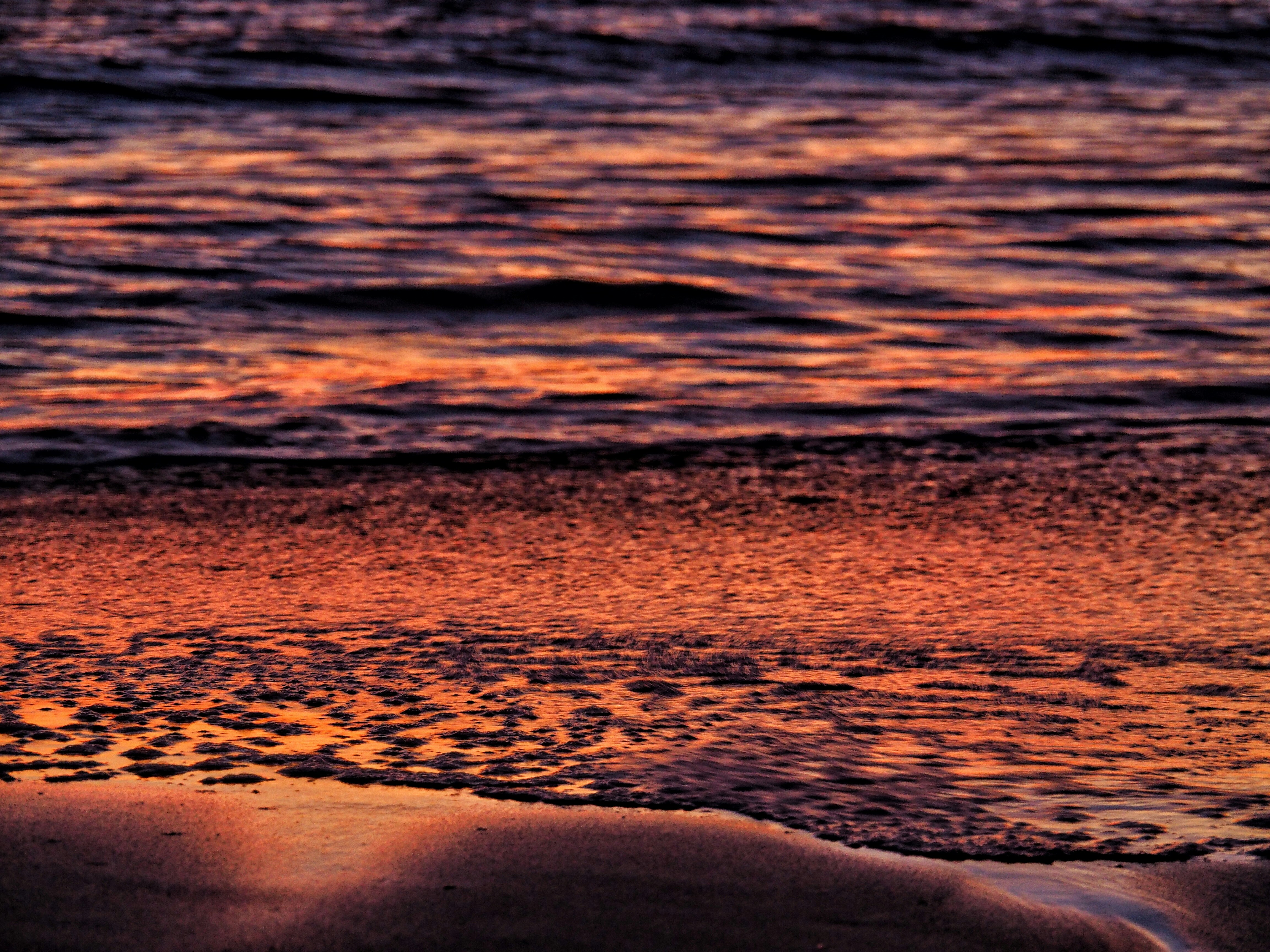 Free Unsplash photo from Marcus Wallis