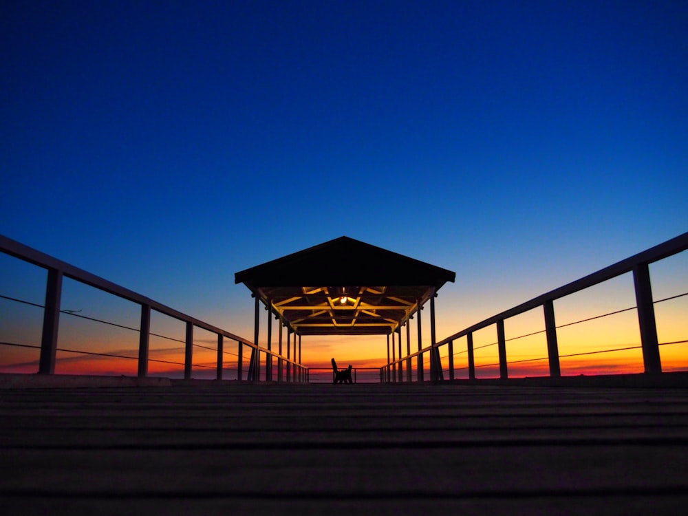 silhouette of cat standing on boat dock