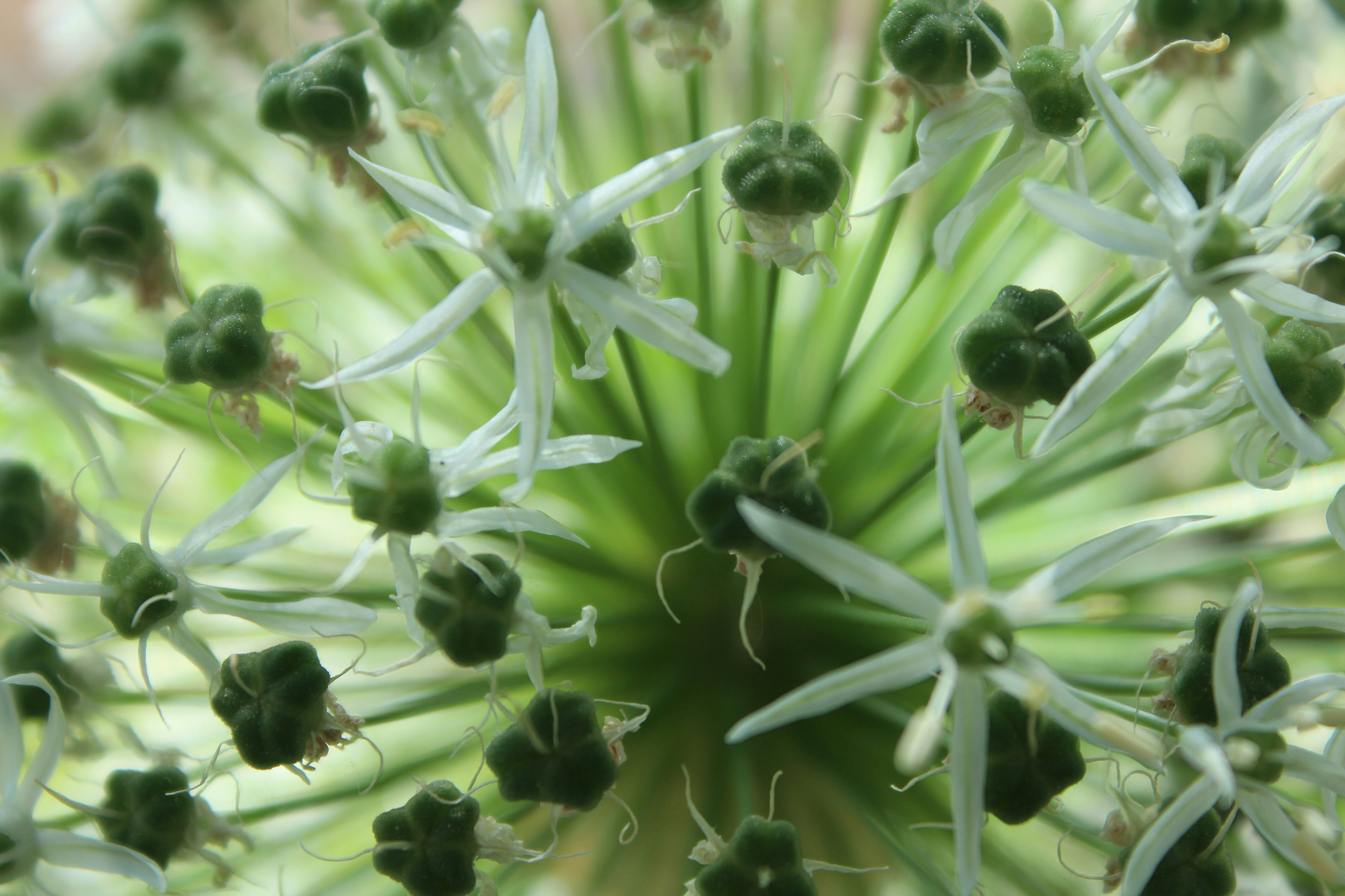 Free Unsplash photo from Saskia Schneider